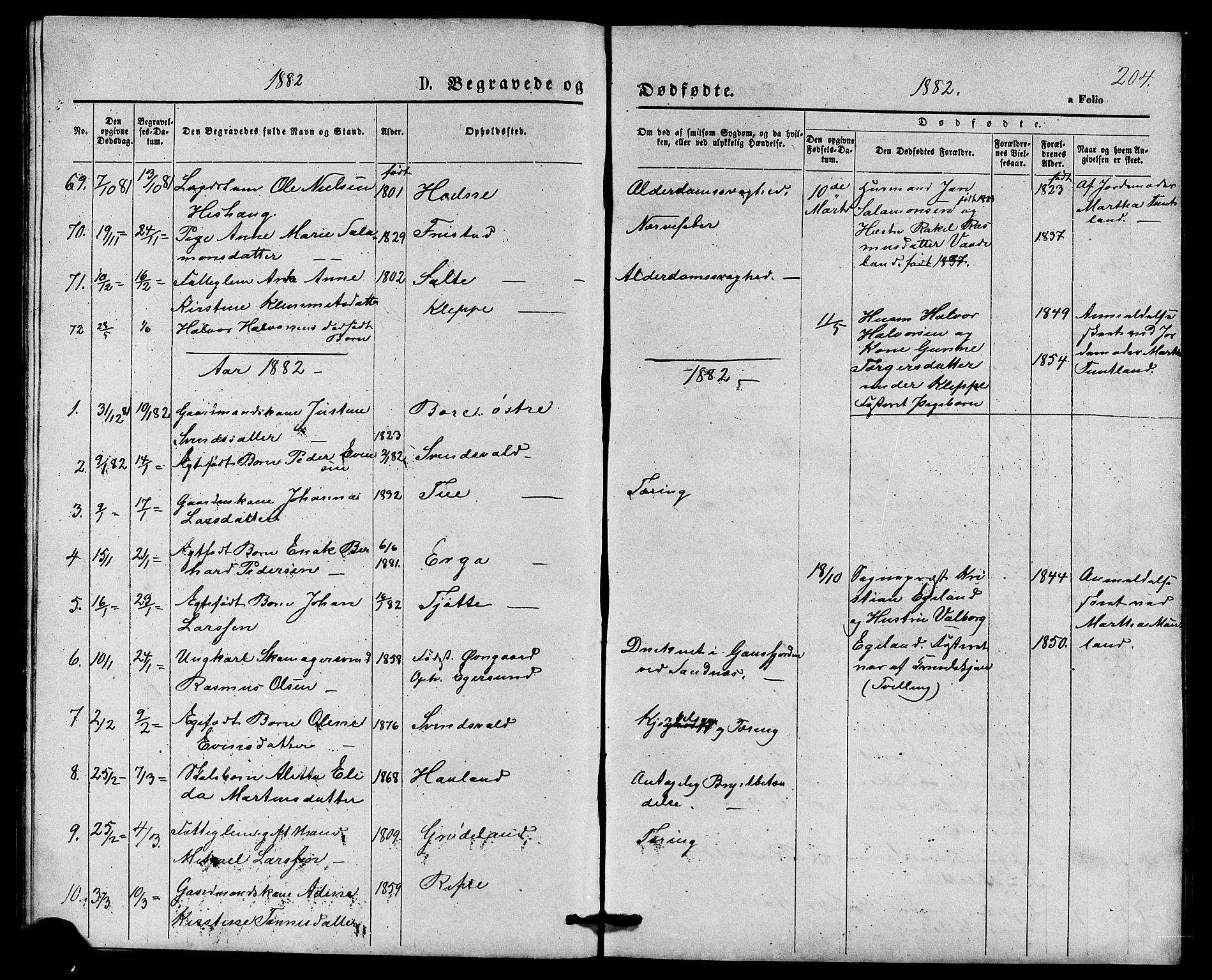 Klepp sokneprestkontor, SAST/A-101803/001/3/30BB/L0003: Parish register (copy) no. B 3, 1876-1888, p. 204