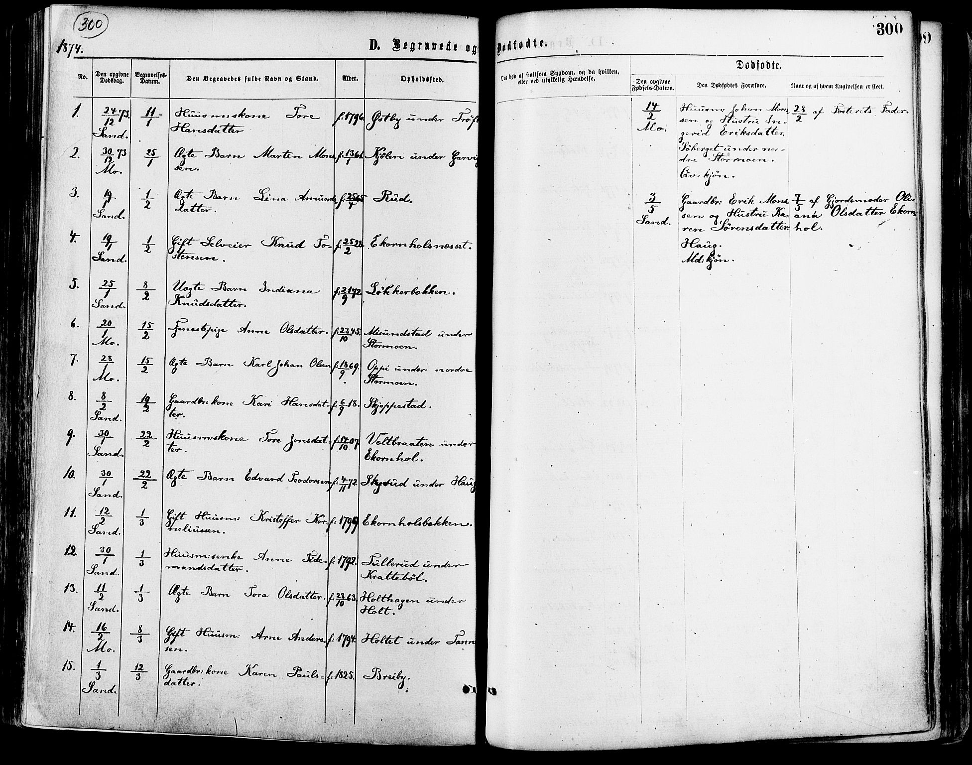 Nord-Odal prestekontor, SAH/PREST-032/H/Ha/Haa/L0005: Parish register (official) no. 5, 1874-1885, p. 300