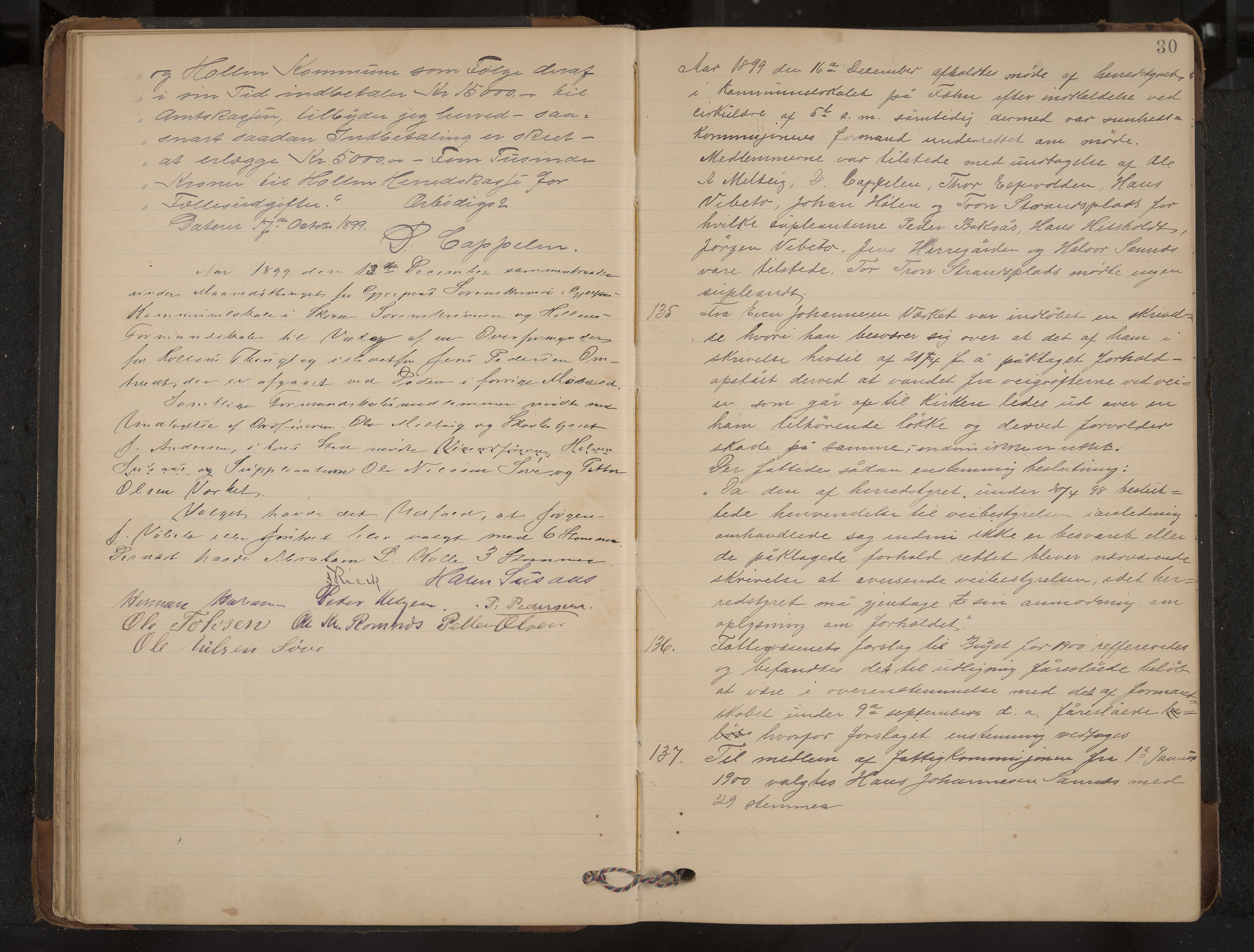 Holla formannskap og sentraladministrasjon, IKAK/0819021-1/A/L0004: Møtebok med register, 1899-1906, p. 30