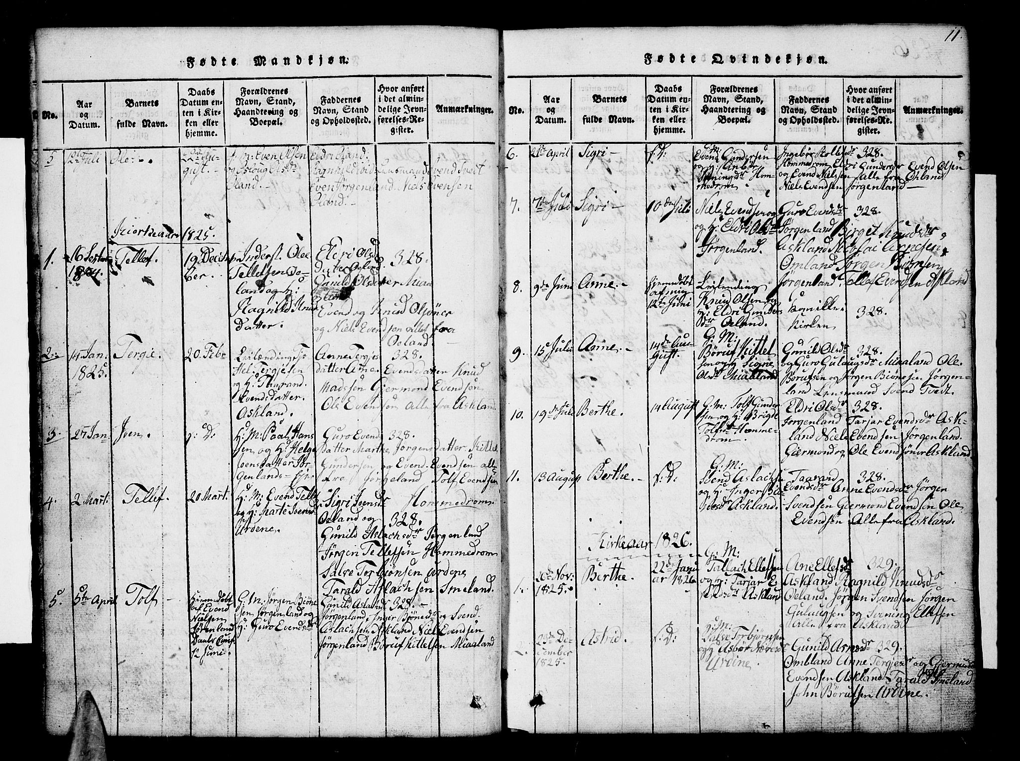 Åmli sokneprestkontor, SAK/1111-0050/F/Fb/Fba/L0001: Parish register (copy) no. B 1, 1816-1890, p. 11