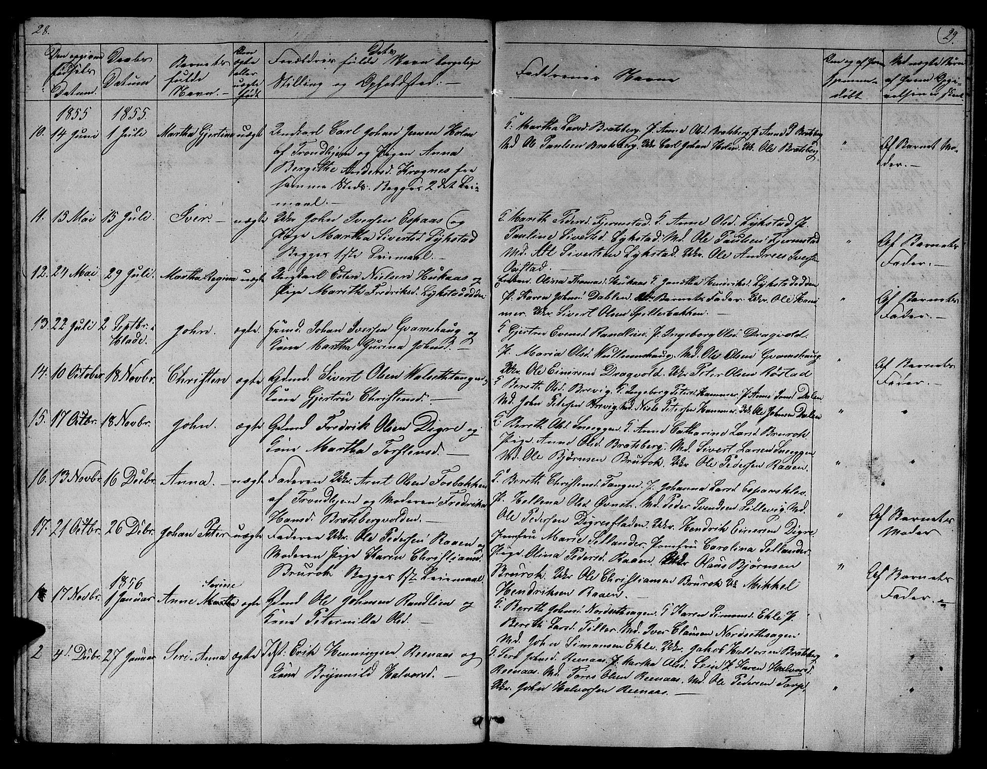 Ministerialprotokoller, klokkerbøker og fødselsregistre - Sør-Trøndelag, SAT/A-1456/608/L0339: Parish register (copy) no. 608C05, 1844-1863, p. 28-29