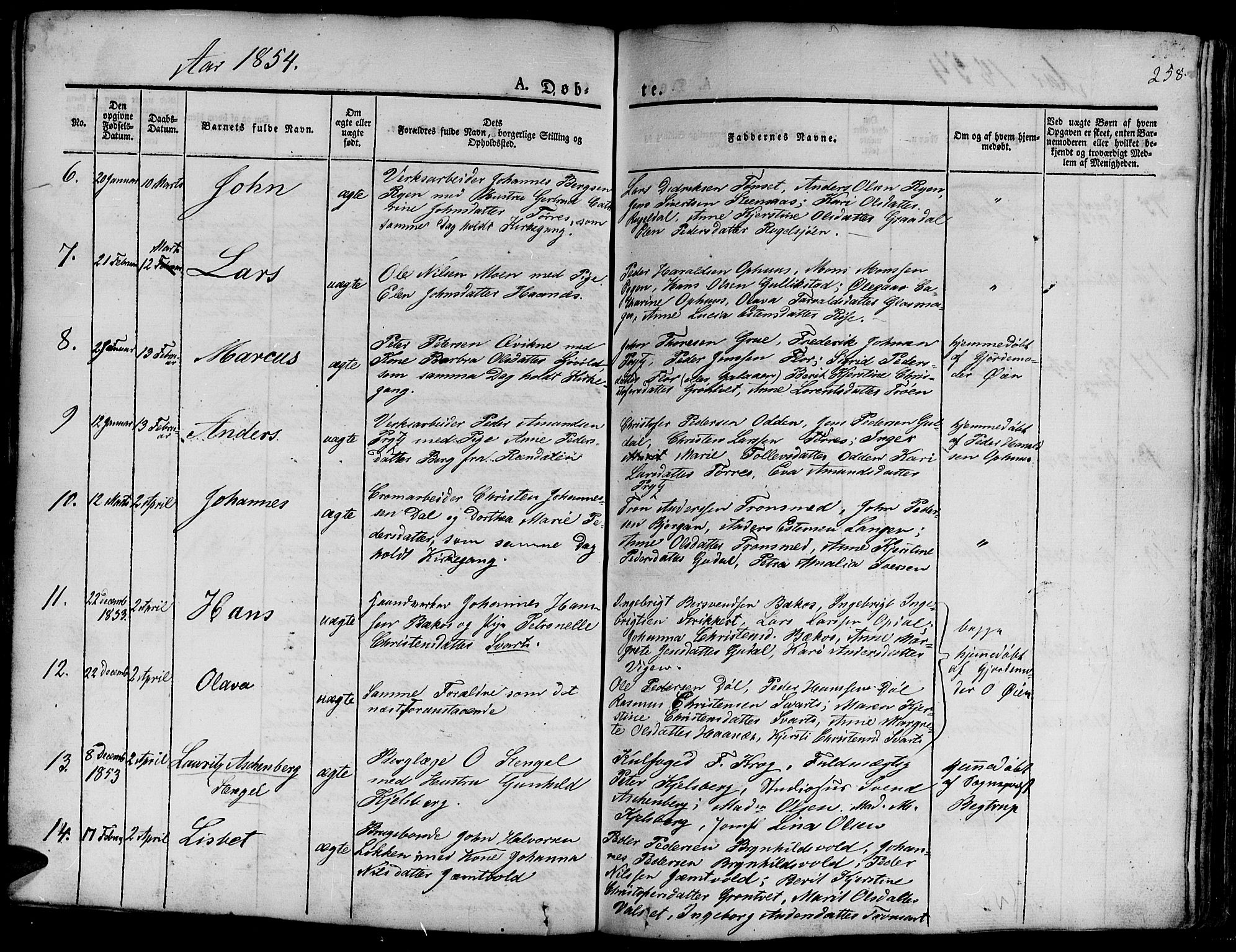 Ministerialprotokoller, klokkerbøker og fødselsregistre - Sør-Trøndelag, SAT/A-1456/681/L0938: Parish register (copy) no. 681C02, 1829-1879, p. 258