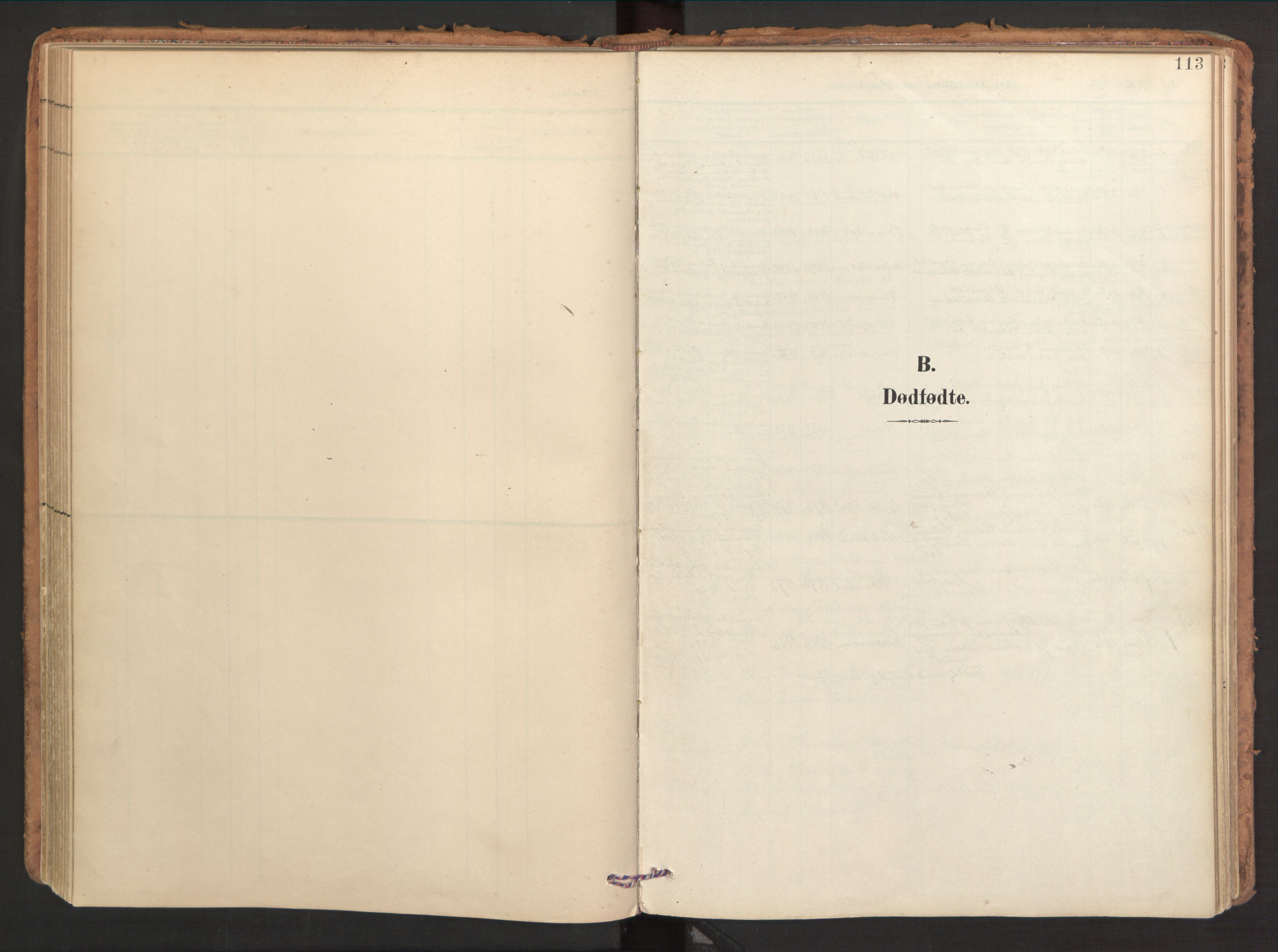 Ministerialprotokoller, klokkerbøker og fødselsregistre - Møre og Romsdal, SAT/A-1454/510/L0123: Parish register (official) no. 510A03, 1898-1922, p. 113