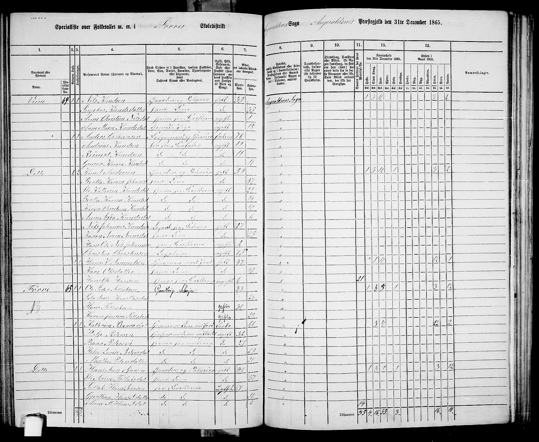 RA, 1865 census for Avaldsnes, 1865, p. 195