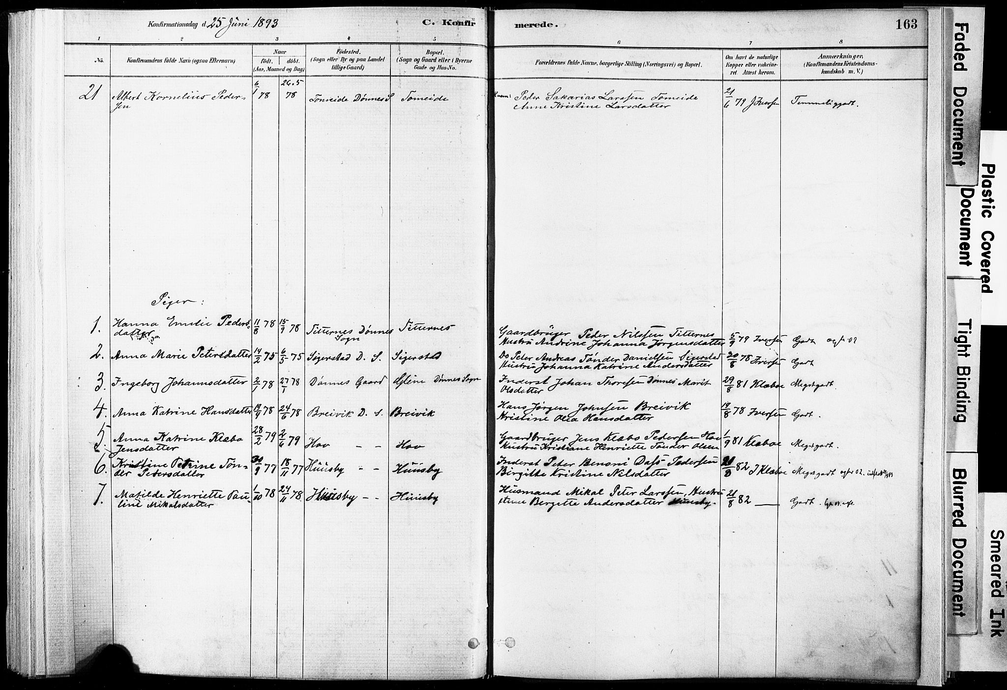 Ministerialprotokoller, klokkerbøker og fødselsregistre - Nordland, SAT/A-1459/835/L0525: Parish register (official) no. 835A03I, 1881-1910, p. 163