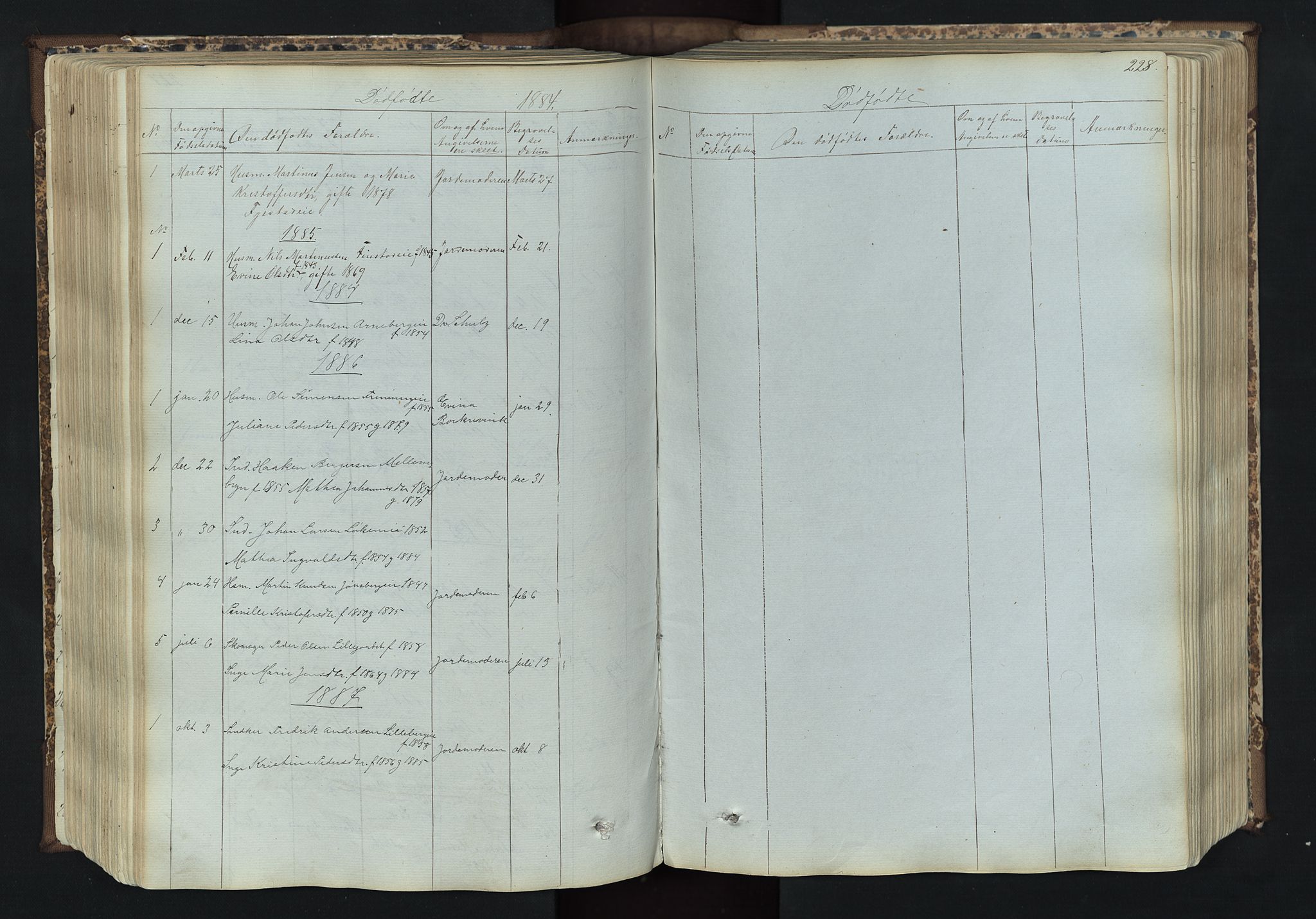 Romedal prestekontor, SAH/PREST-004/L/L0011: Parish register (copy) no. 11, 1867-1895, p. 228