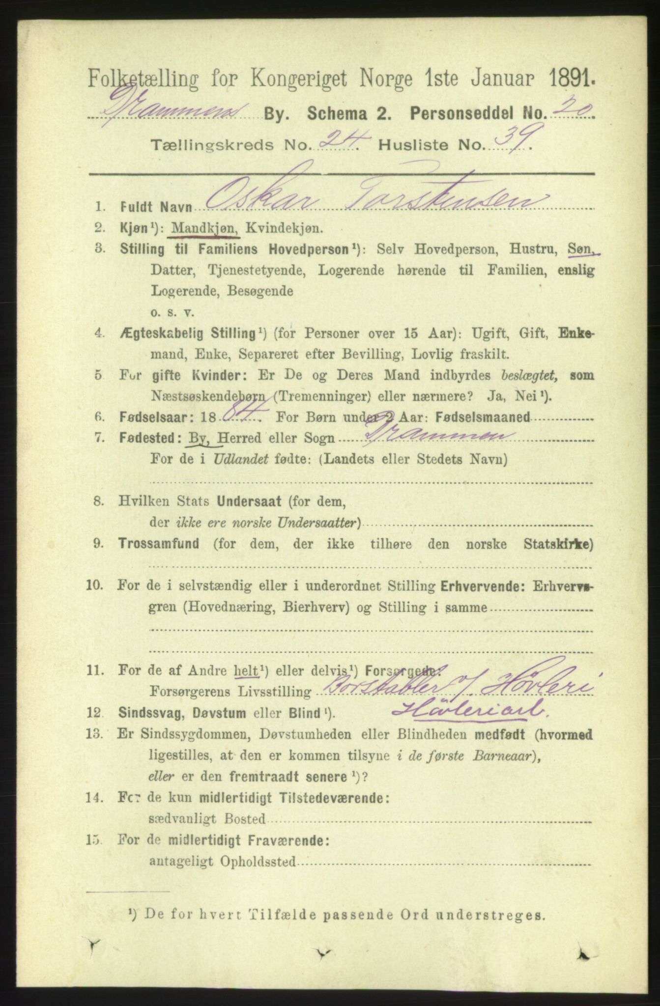 RA, 1891 census for 0602 Drammen, 1891, p. 15151