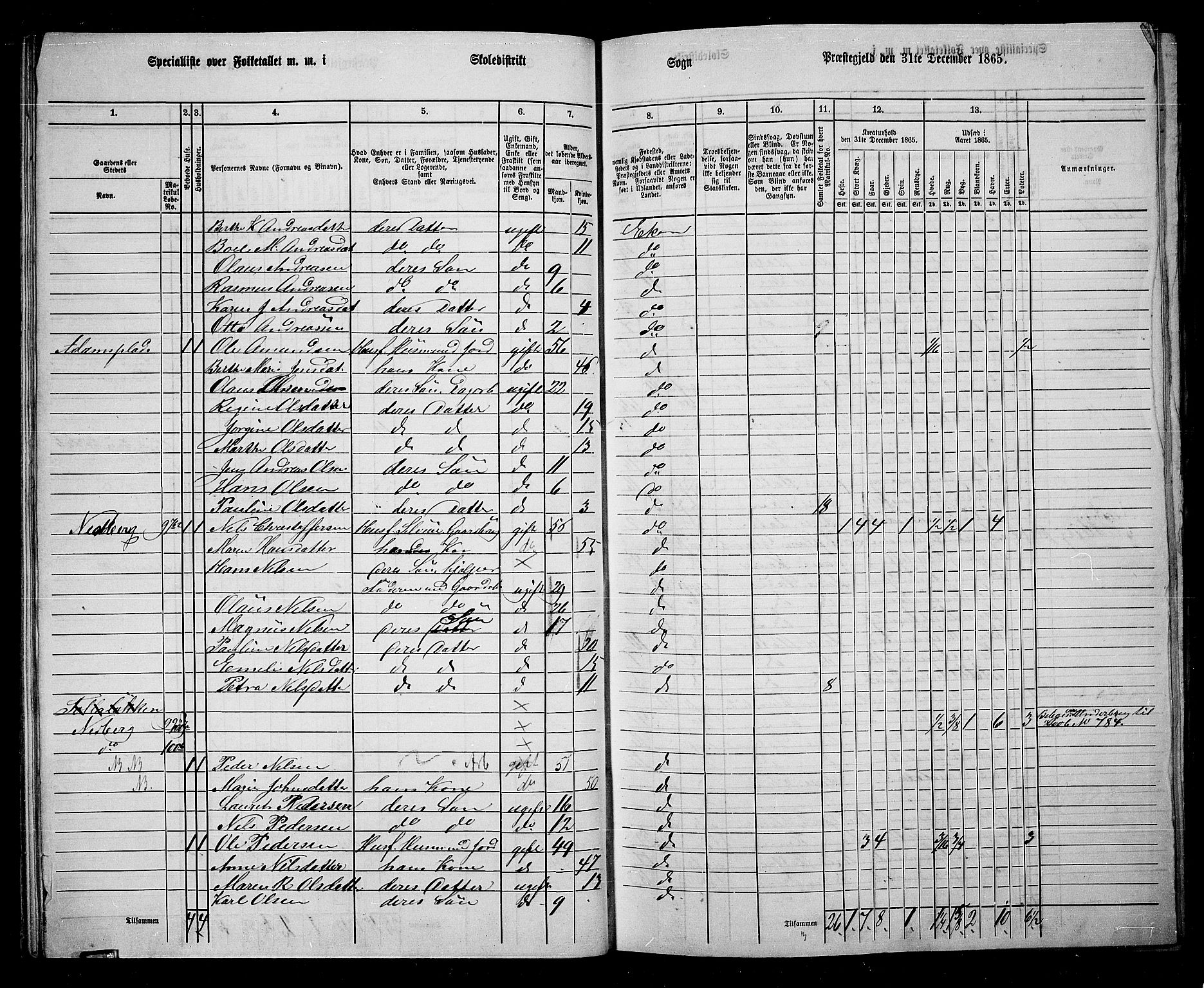 RA, 1865 census for Eiker, 1865, p. 32