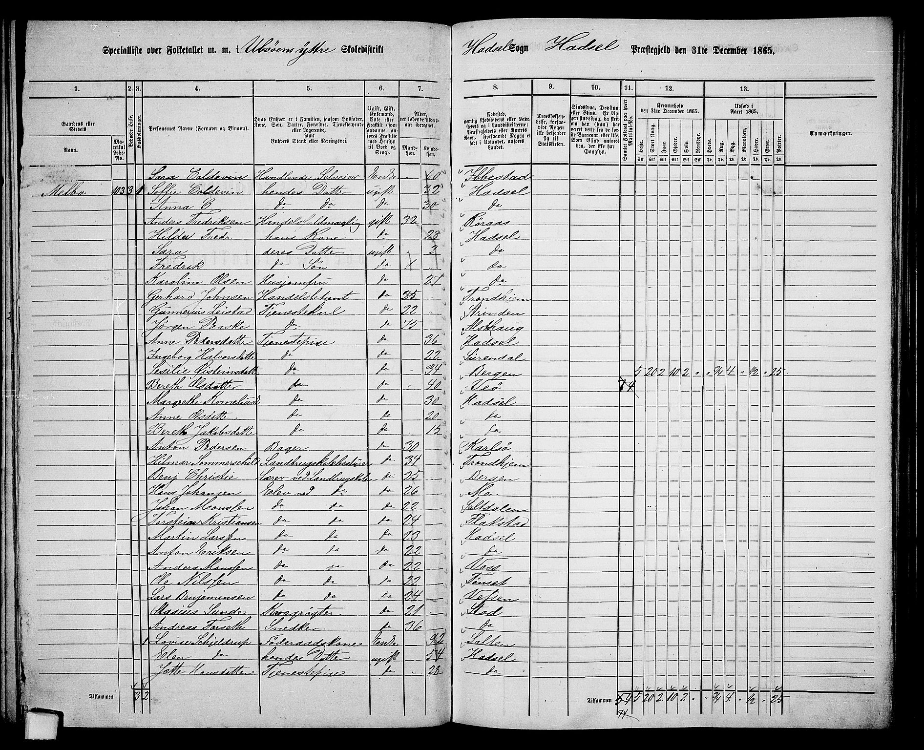 RA, 1865 census for Hadsel, 1865, p. 99