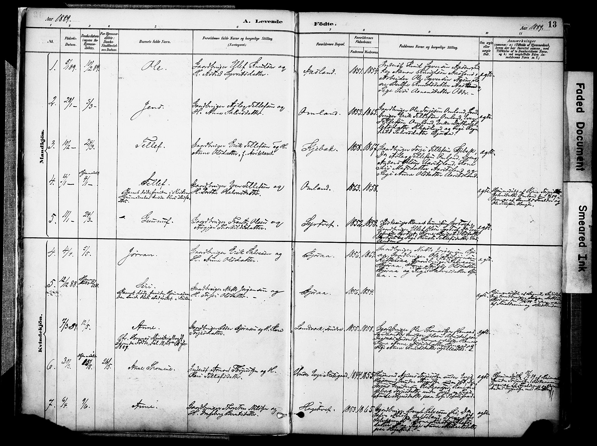 Evje sokneprestkontor, AV/SAK-1111-0008/F/Fa/Faa/L0007: Parish register (official) no. A 7, 1884-1909, p. 13