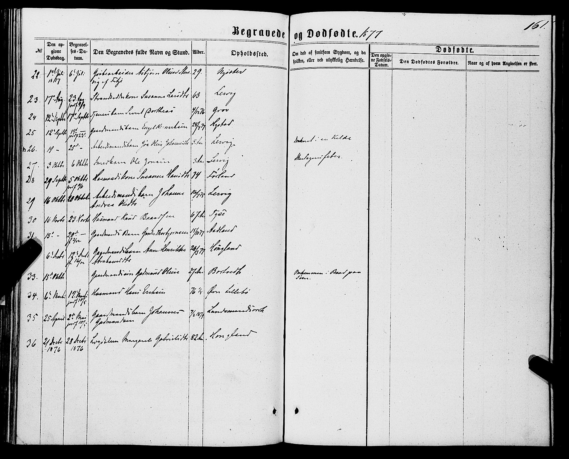 Stord sokneprestembete, AV/SAB-A-78201/H/Haa: Parish register (official) no. B 1, 1862-1877, p. 161