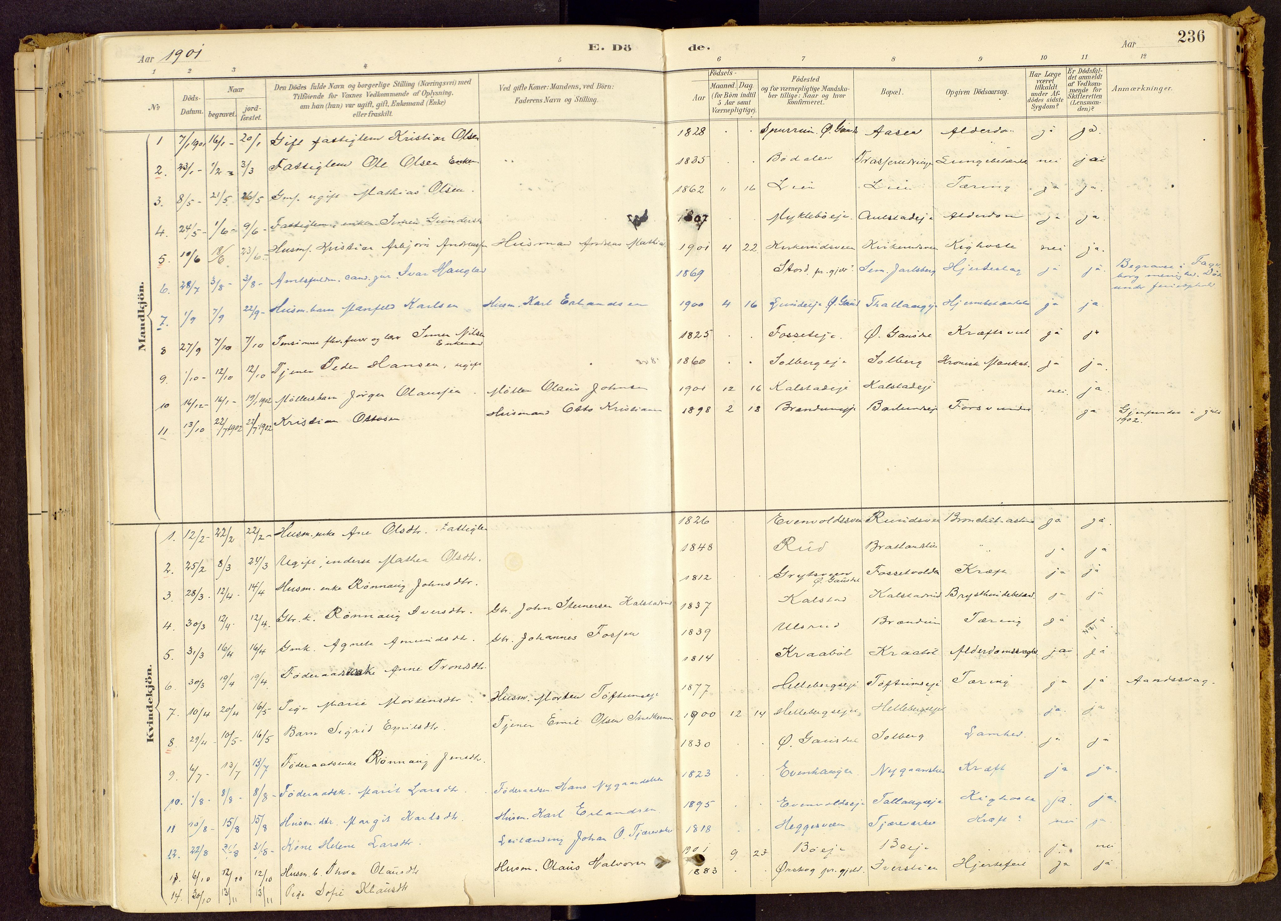 Vestre Gausdal prestekontor, SAH/PREST-094/H/Ha/Haa/L0001: Parish register (official) no. 1, 1887-1914, p. 236
