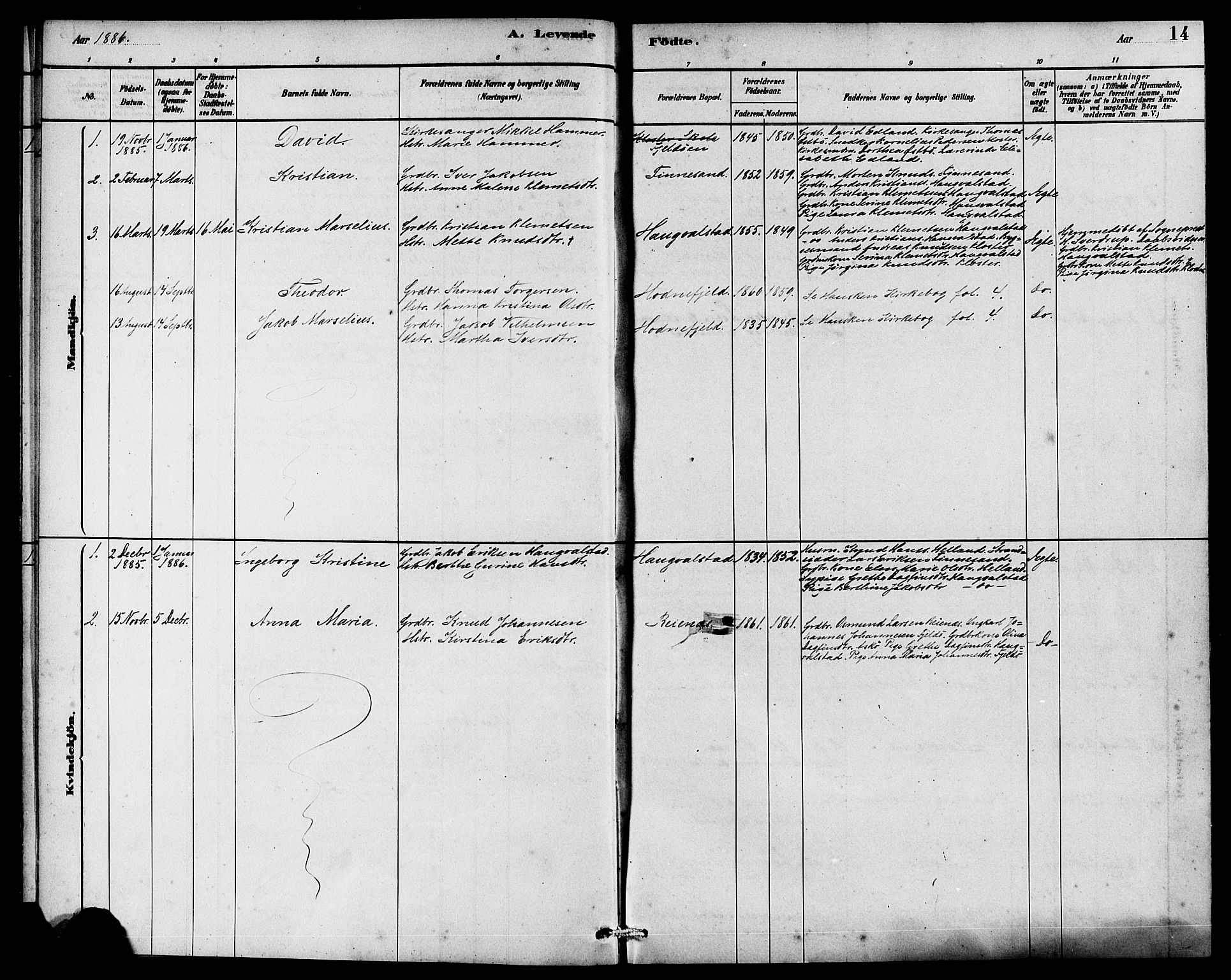 Rennesøy sokneprestkontor, SAST/A -101827/H/Ha/Haa/L0010: Parish register (official) no. A 10, 1878-1890, p. 14