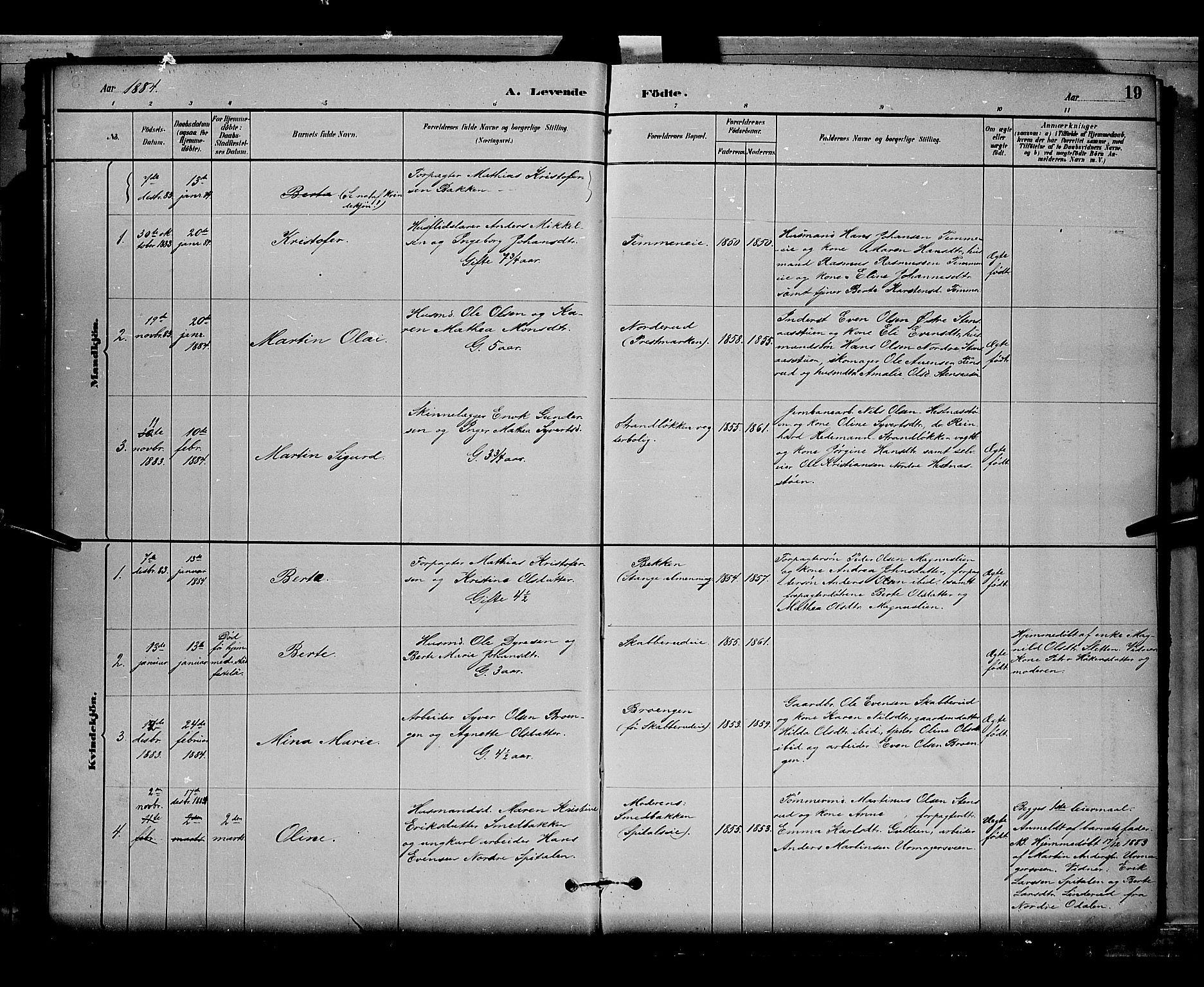 Stange prestekontor, SAH/PREST-002/L/L0008: Parish register (copy) no. 8, 1882-1895, p. 19