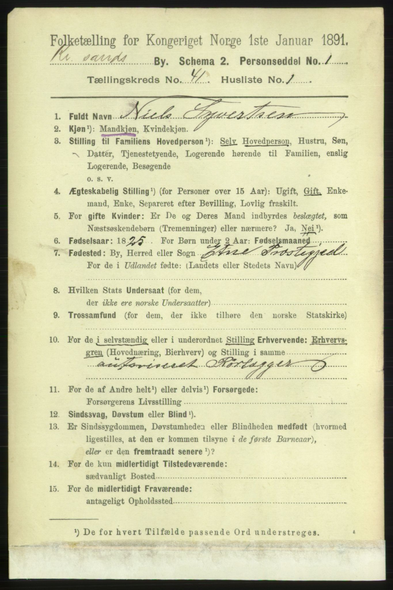 RA, 1891 census for 1001 Kristiansand, 1891, p. 12484