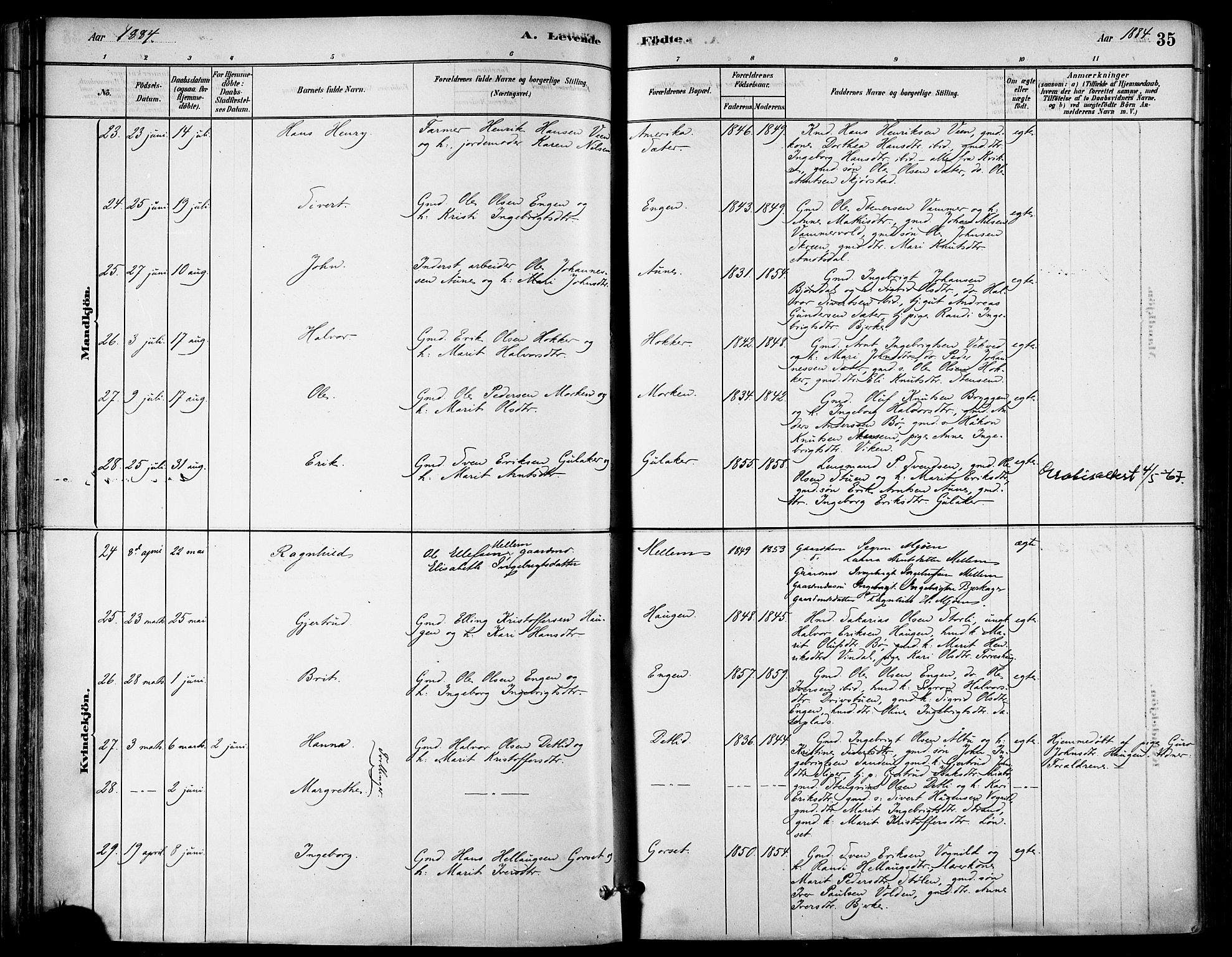 Ministerialprotokoller, klokkerbøker og fødselsregistre - Sør-Trøndelag, AV/SAT-A-1456/678/L0901: Parish register (official) no. 678A10, 1881-1894, p. 35