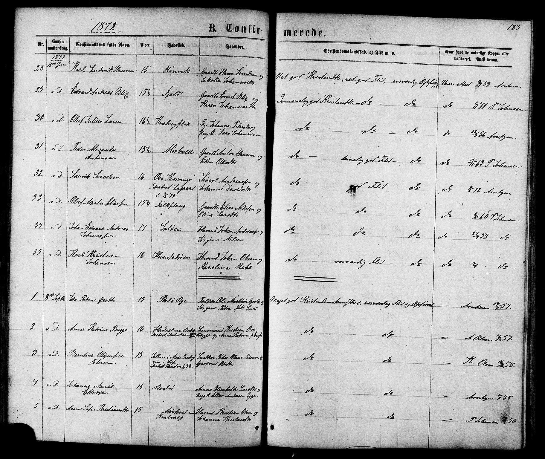 Ministerialprotokoller, klokkerbøker og fødselsregistre - Nordland, AV/SAT-A-1459/801/L0029: Parish register (copy) no. 801C04, 1868-1878, p. 183