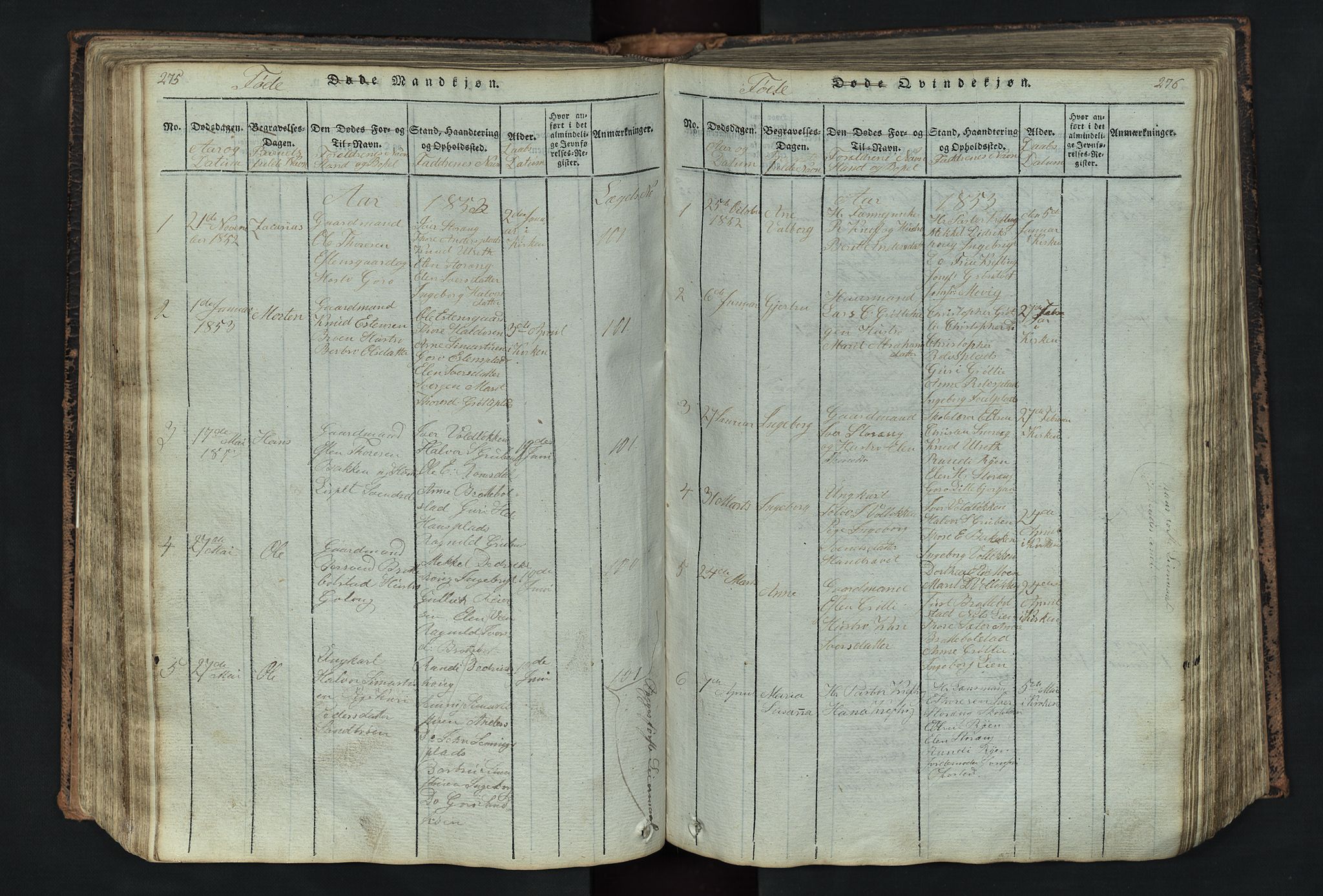 Kvikne prestekontor, AV/SAH-PREST-064/H/Ha/Hab/L0001: Parish register (copy) no. 1, 1815-1895, p. 275-276