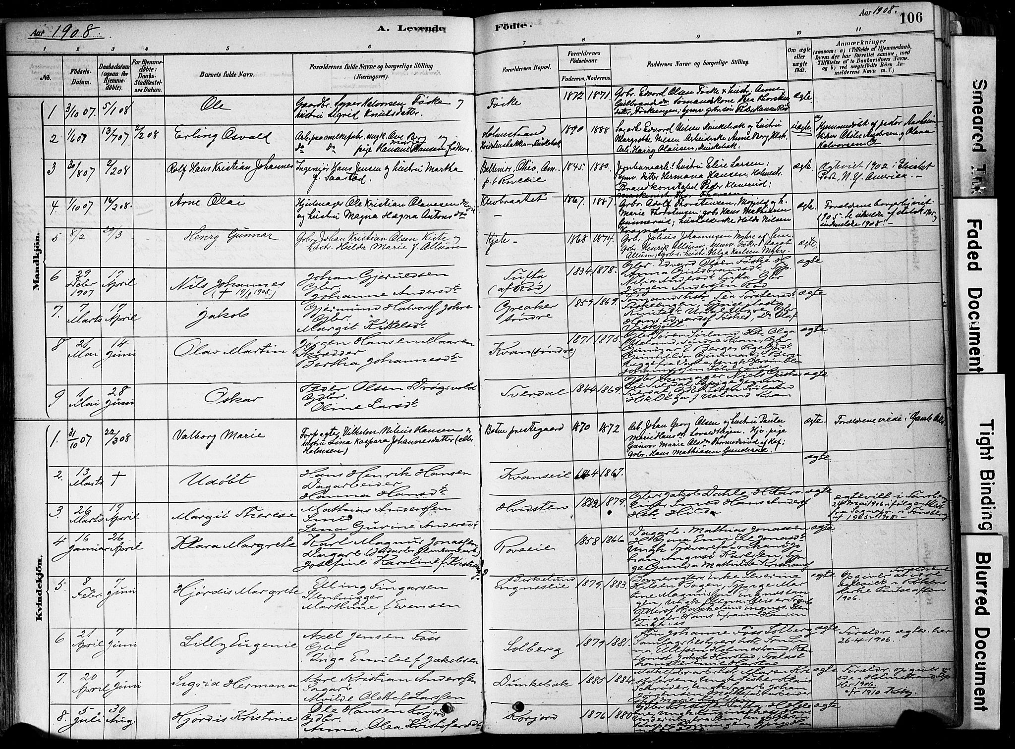 Botne kirkebøker, SAKO/A-340/F/Fa/L0007: Parish register (official) no. I 7, 1878-1910, p. 106