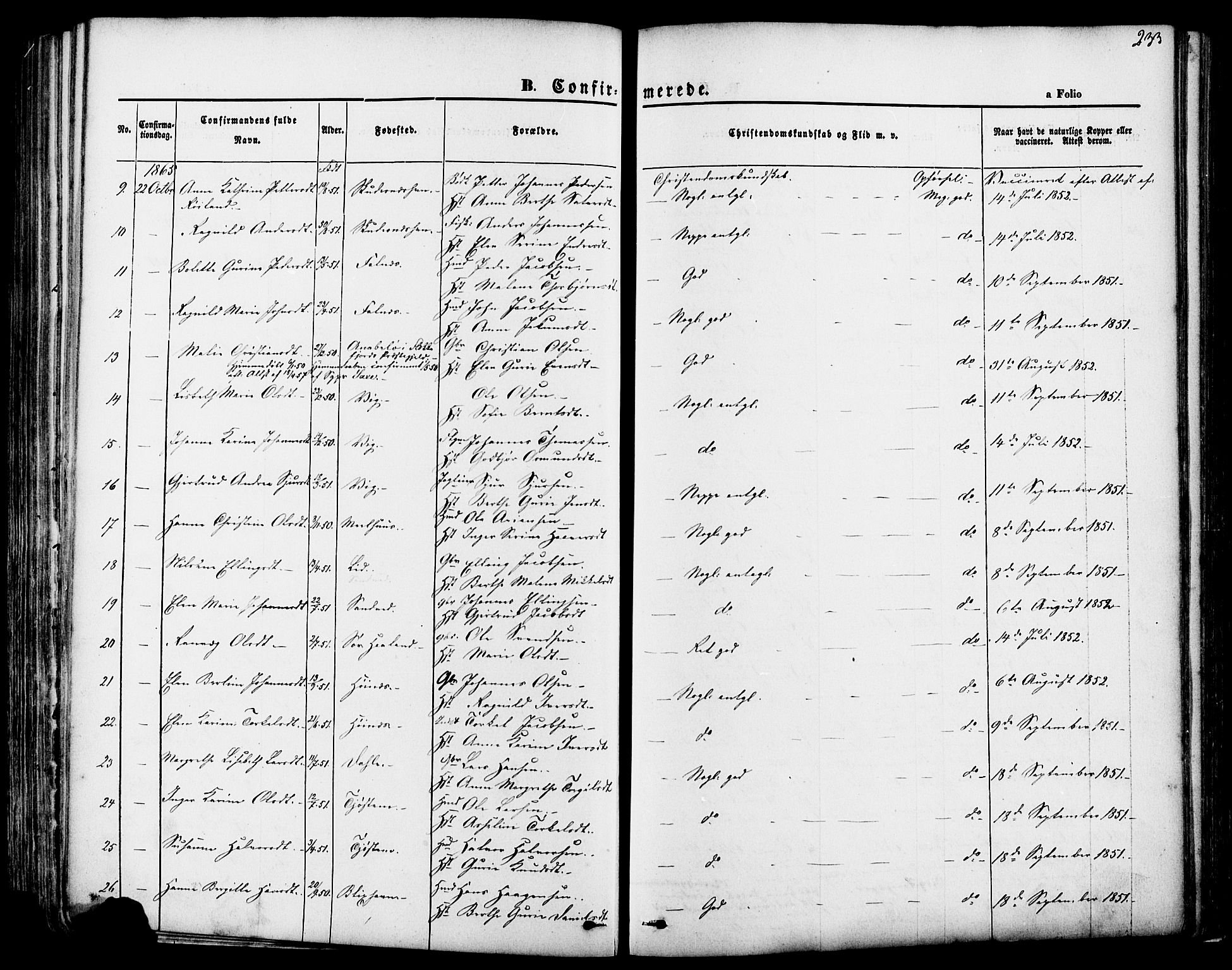 Skudenes sokneprestkontor, SAST/A -101849/H/Ha/Haa/L0006: Parish register (official) no. A 4, 1864-1881, p. 233