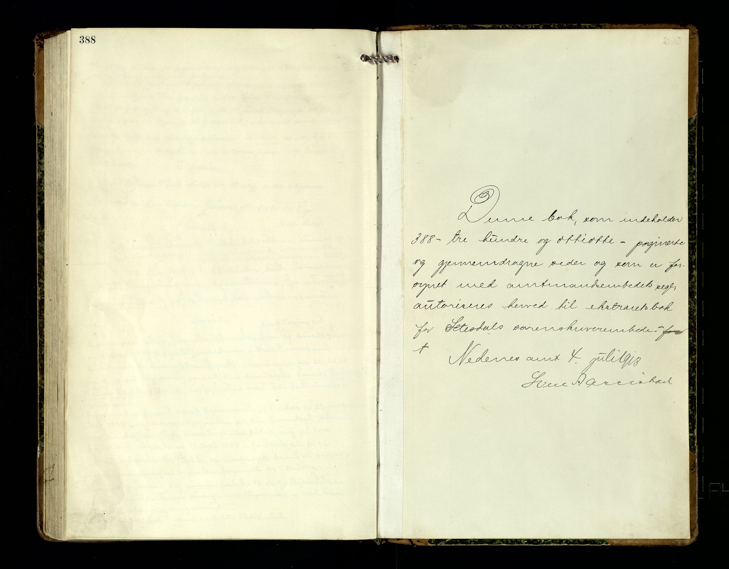 Setesdal sorenskriveri, AV/SAK-1221-0011/F/Fb/L0017: Ekstrarettsprotokoll nr 17, 1913-1924