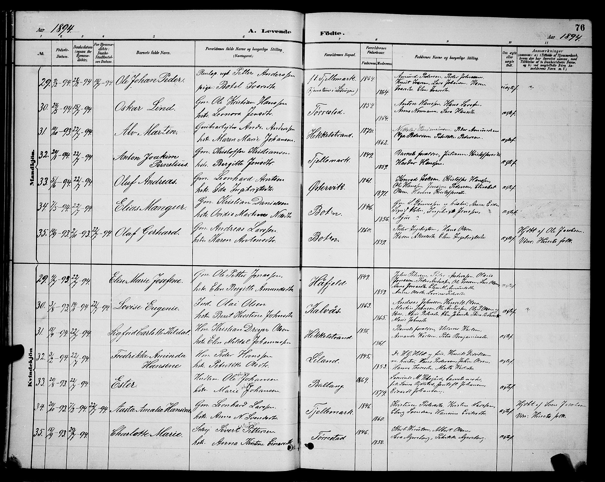 Ministerialprotokoller, klokkerbøker og fødselsregistre - Nordland, AV/SAT-A-1459/863/L0914: Parish register (copy) no. 863C04, 1886-1897, p. 76