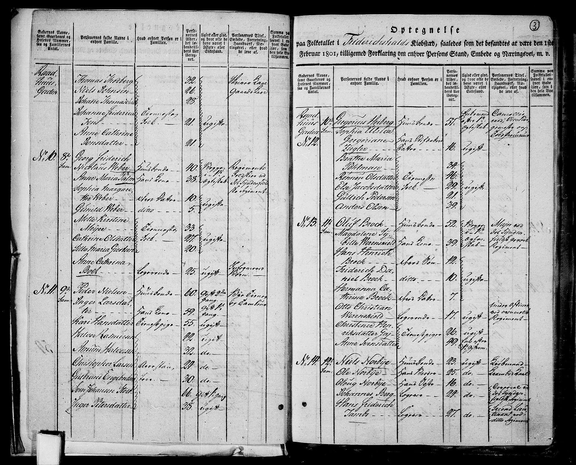 RA, 1801 census for 0101P Fredrikshald, 1801, p. 2b-3a
