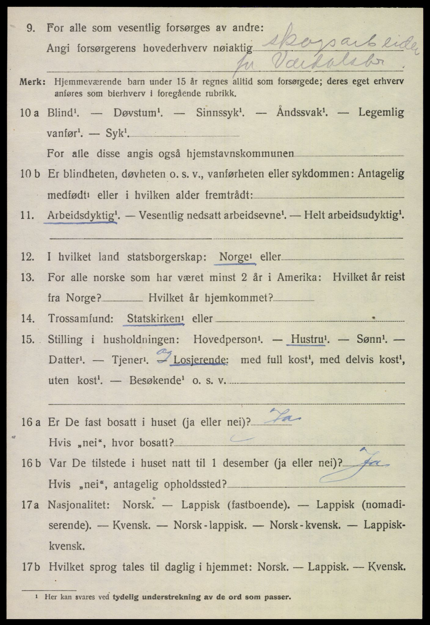 SAT, 1920 census for Verdal, 1920, p. 13258