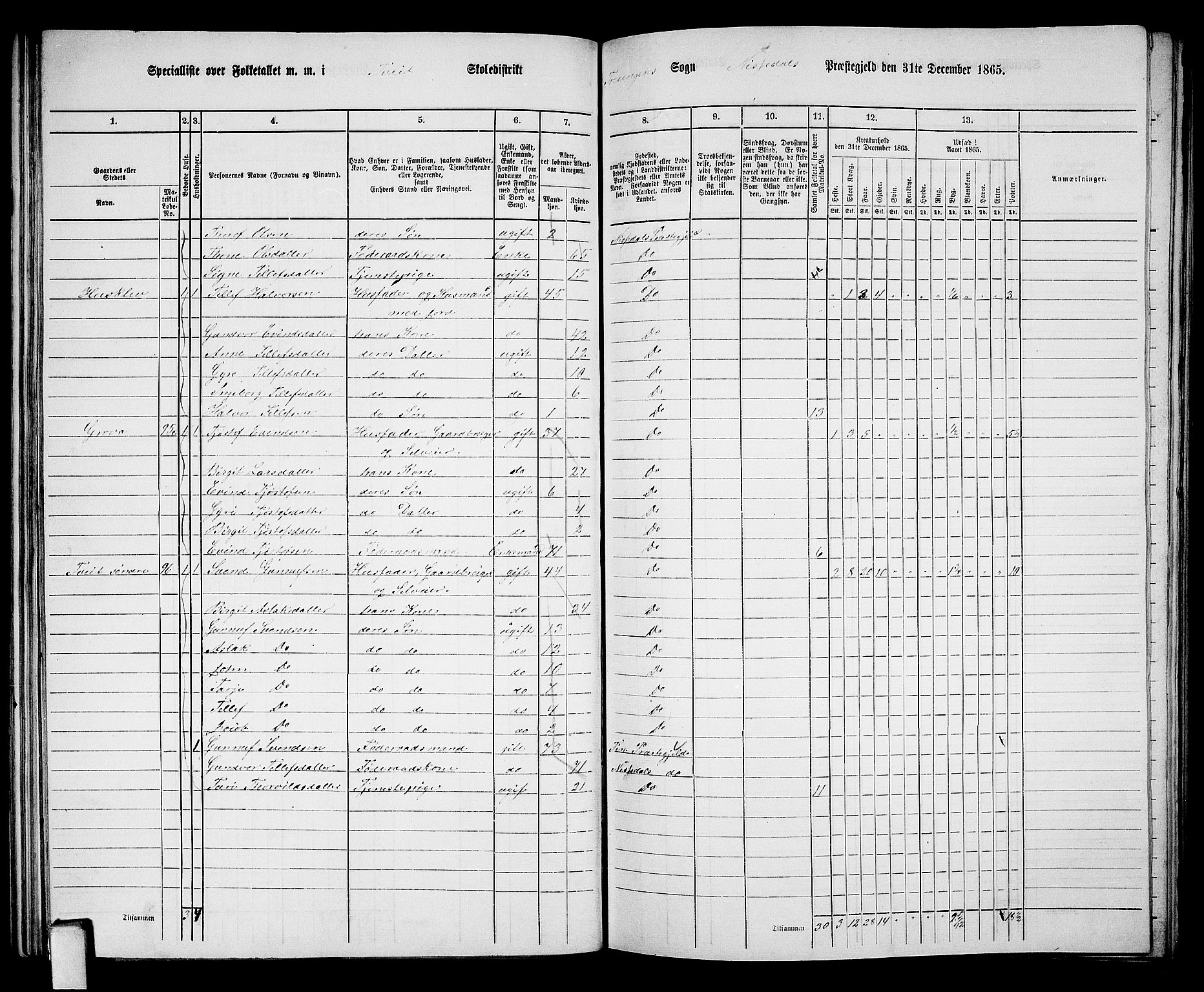 RA, 1865 census for Nissedal, 1865, p. 65