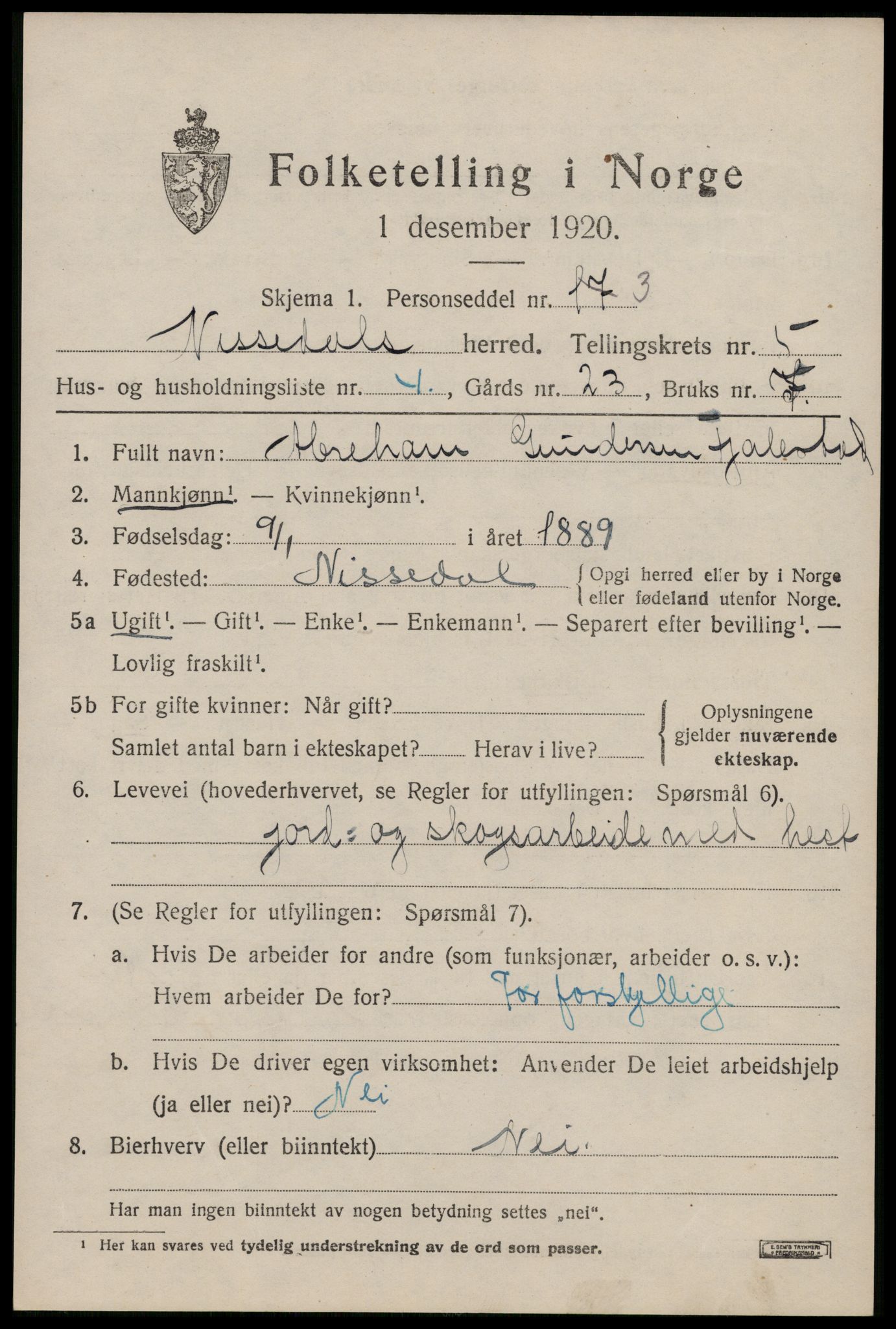 SAKO, 1920 census for Nissedal, 1920, p. 2063