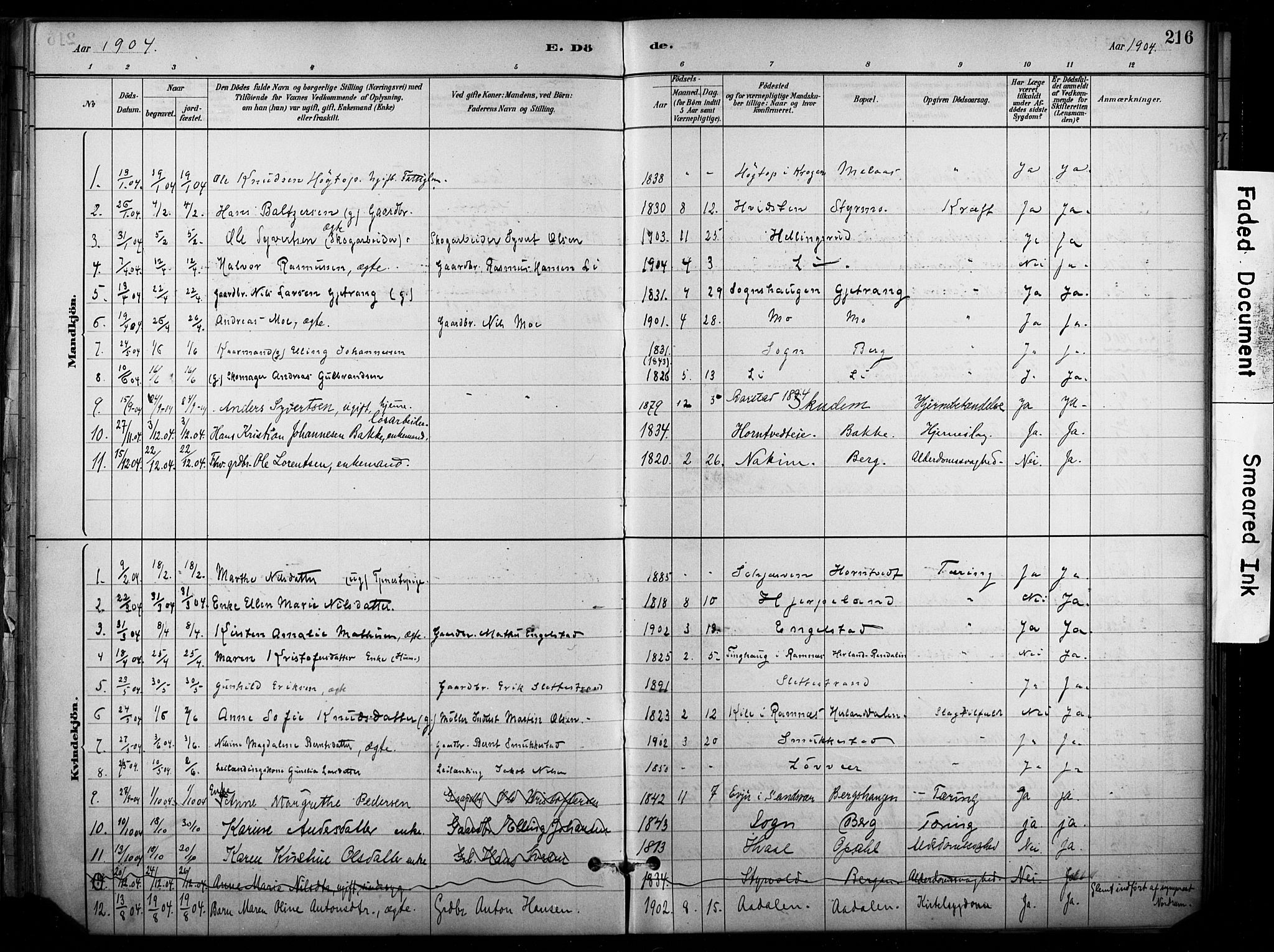 Lardal kirkebøker, AV/SAKO-A-350/F/Fb/L0001: Parish register (official) no. II 1, 1881-1911, p. 216