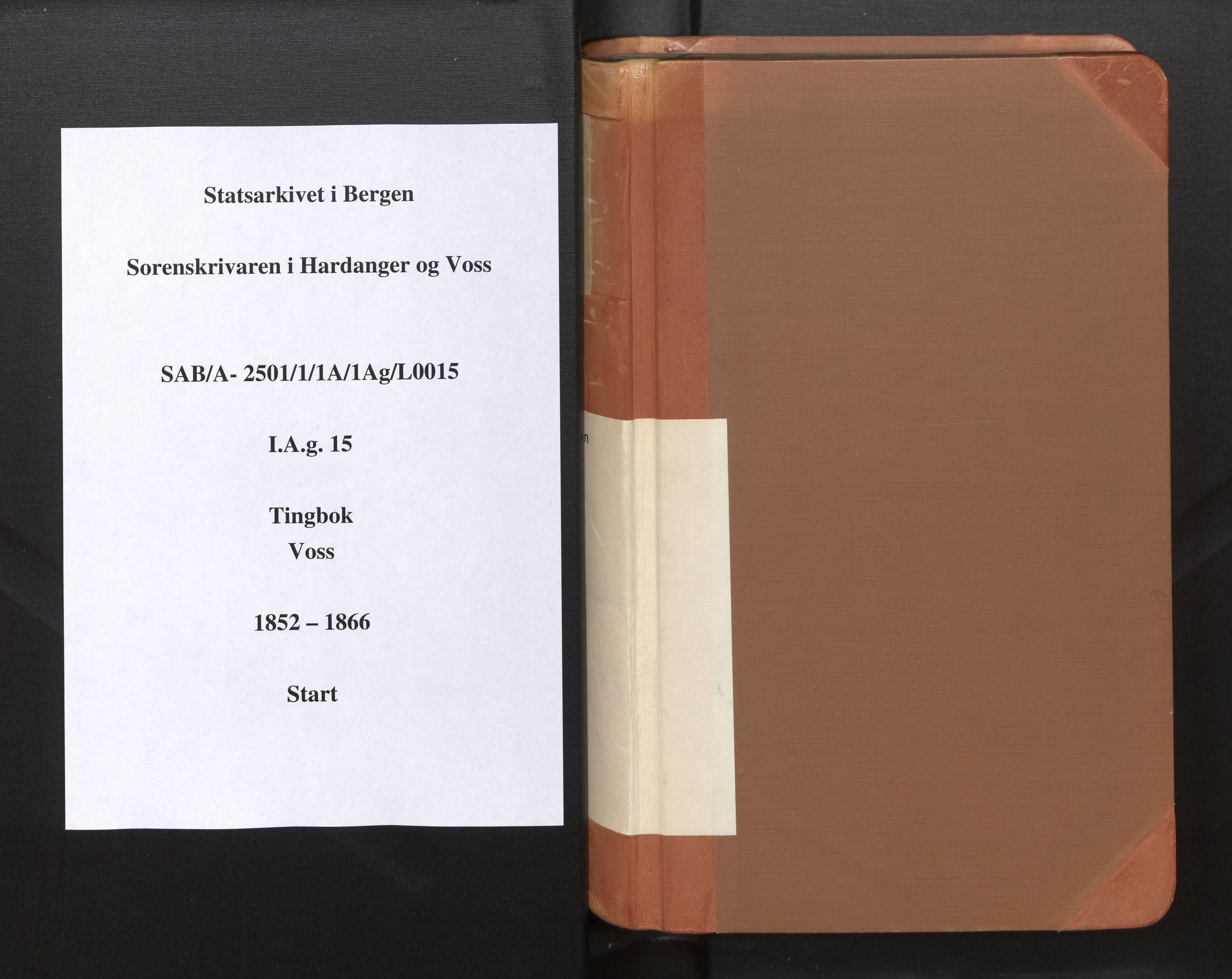 Hardanger og Voss sorenskriveri, AV/SAB-A-2501/1/1A/1Ag/L0015: Tingbok for Voss, 1852-1866