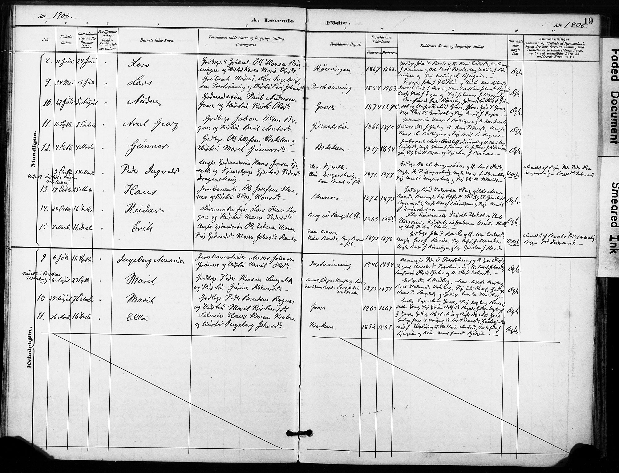 Ministerialprotokoller, klokkerbøker og fødselsregistre - Sør-Trøndelag, SAT/A-1456/685/L0973: Parish register (official) no. 685A10, 1891-1907, p. 19