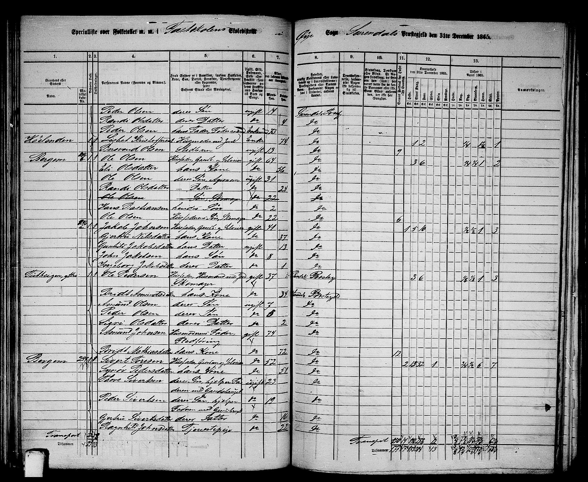 RA, 1865 census for Surnadal, 1865, p. 115