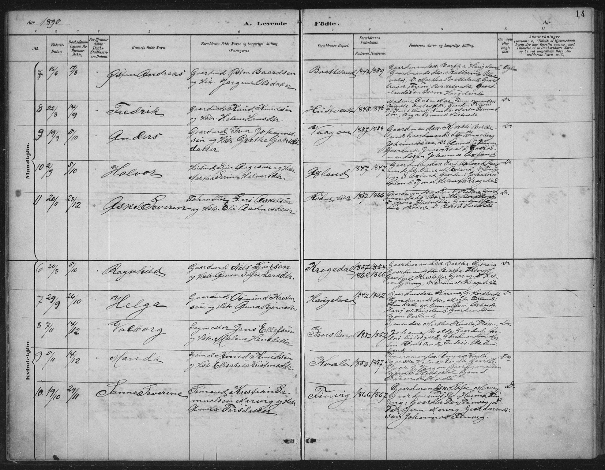 Vikedal sokneprestkontor, AV/SAST-A-101840/01/IV: Parish register (official) no. A 12, 1886-1929, p. 14