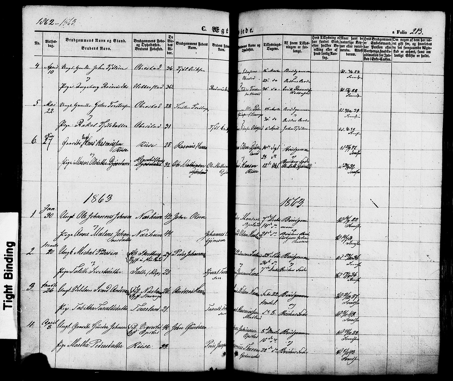 Hå sokneprestkontor, AV/SAST-A-101801/001/30BA/L0008: Parish register (official) no. A 7, 1853-1878, p. 213