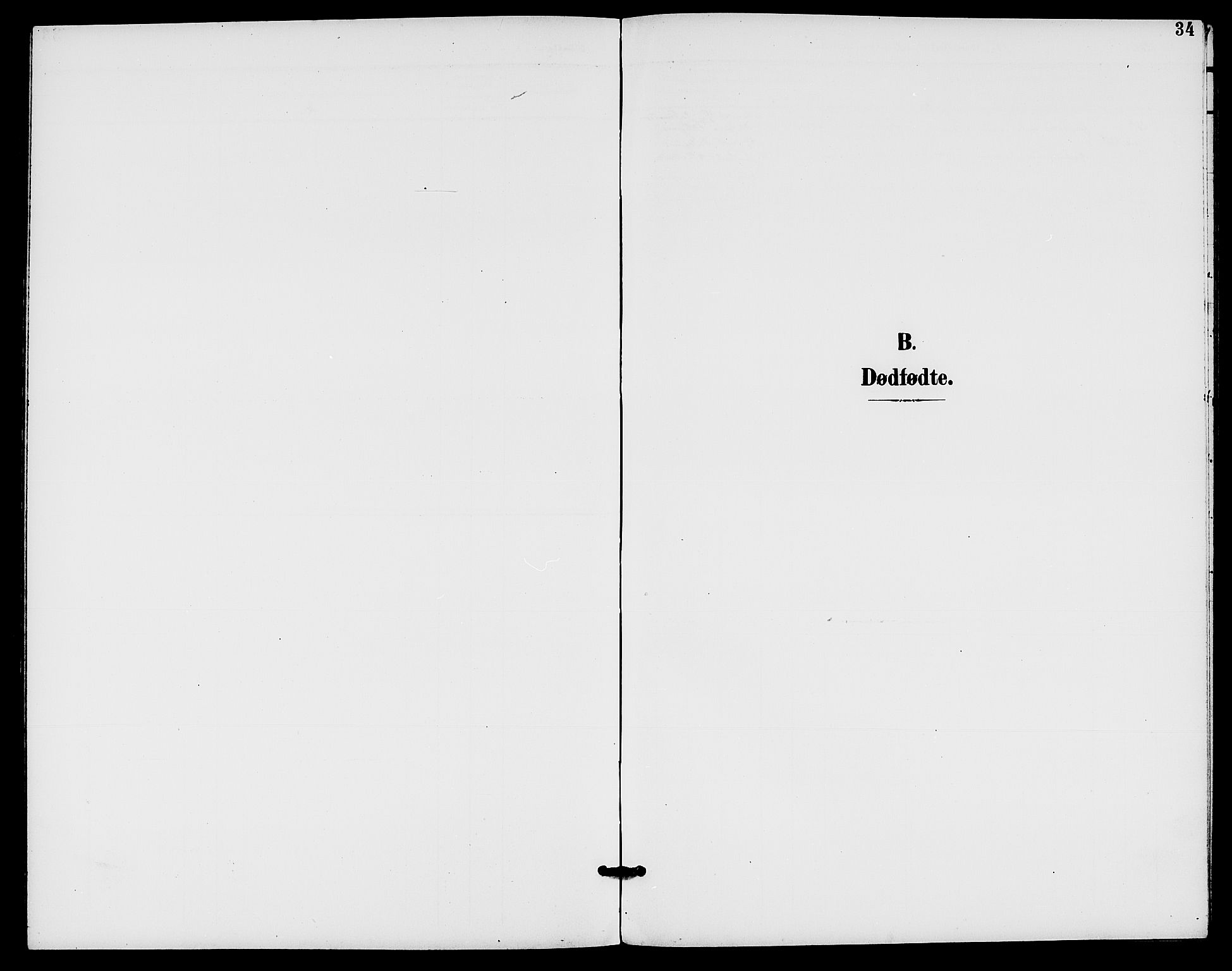 Rødenes prestekontor Kirkebøker, SAO/A-2005/G/Gb/L0001: Parish register (copy) no. II 1, 1901-1910, p. 34