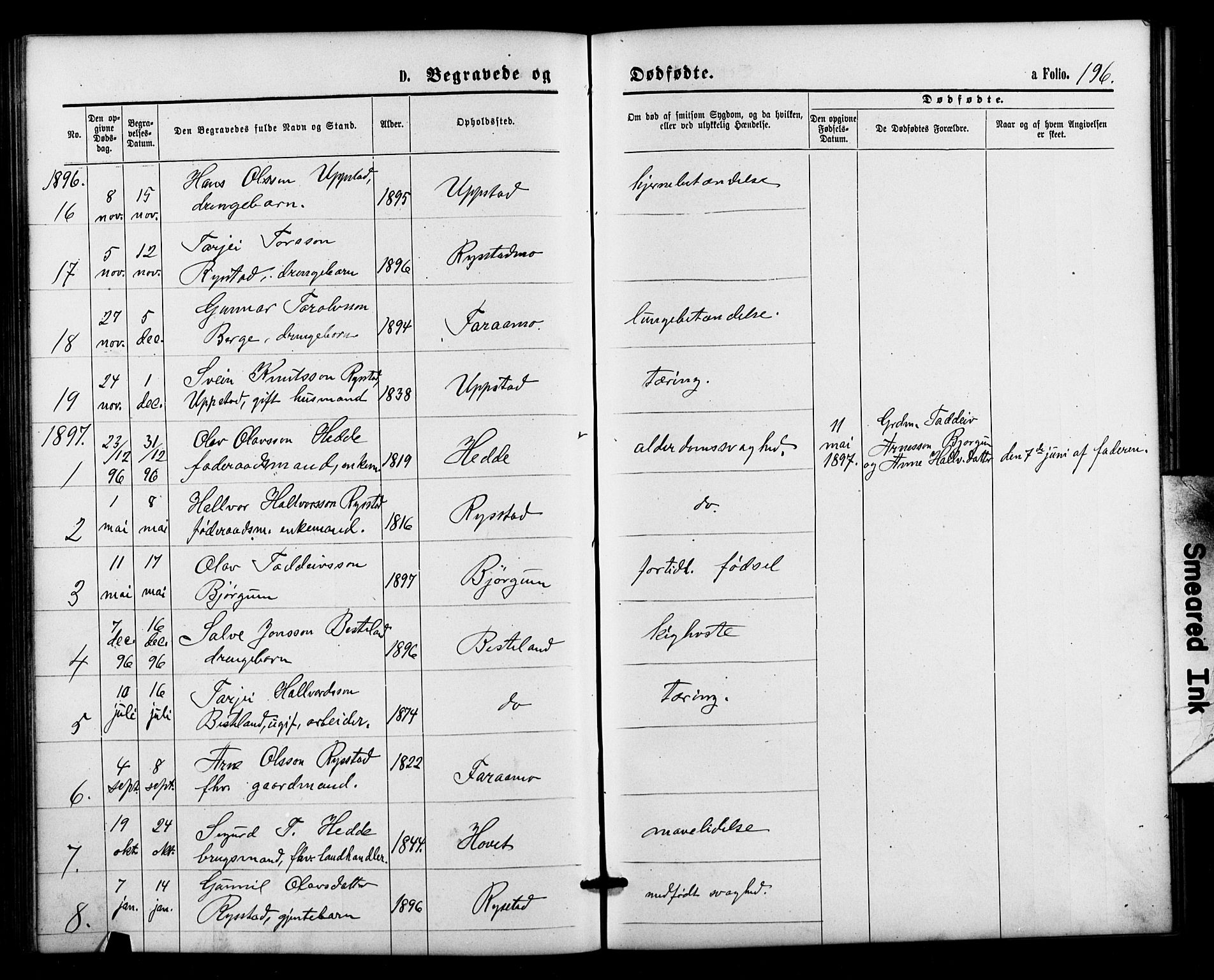 Valle sokneprestkontor, SAK/1111-0044/F/Fb/Fbb/L0002: Parish register (copy) no. B 2, 1875-1921, p. 196