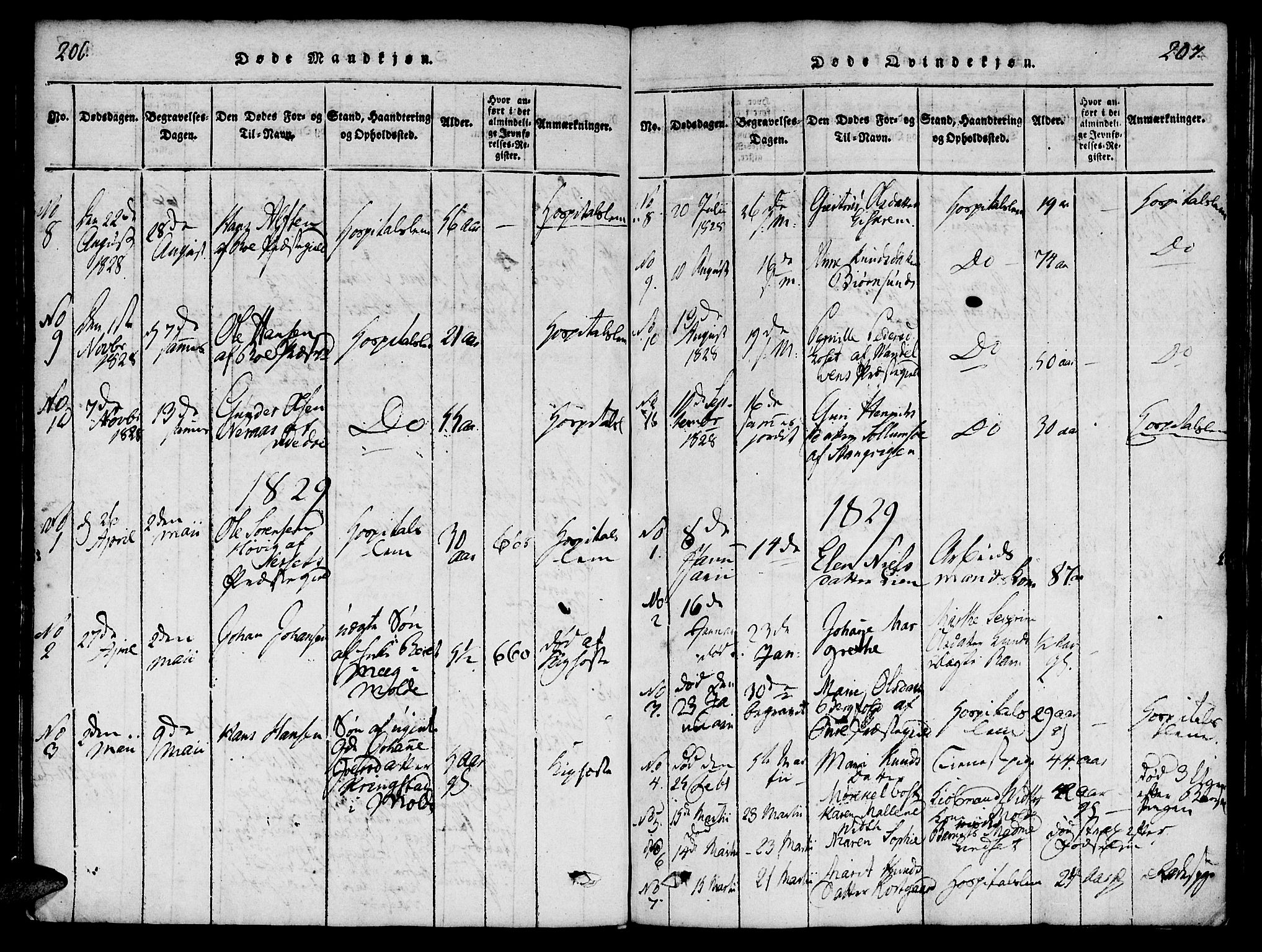 Ministerialprotokoller, klokkerbøker og fødselsregistre - Møre og Romsdal, SAT/A-1454/558/L0688: Parish register (official) no. 558A02, 1818-1843, p. 206-207