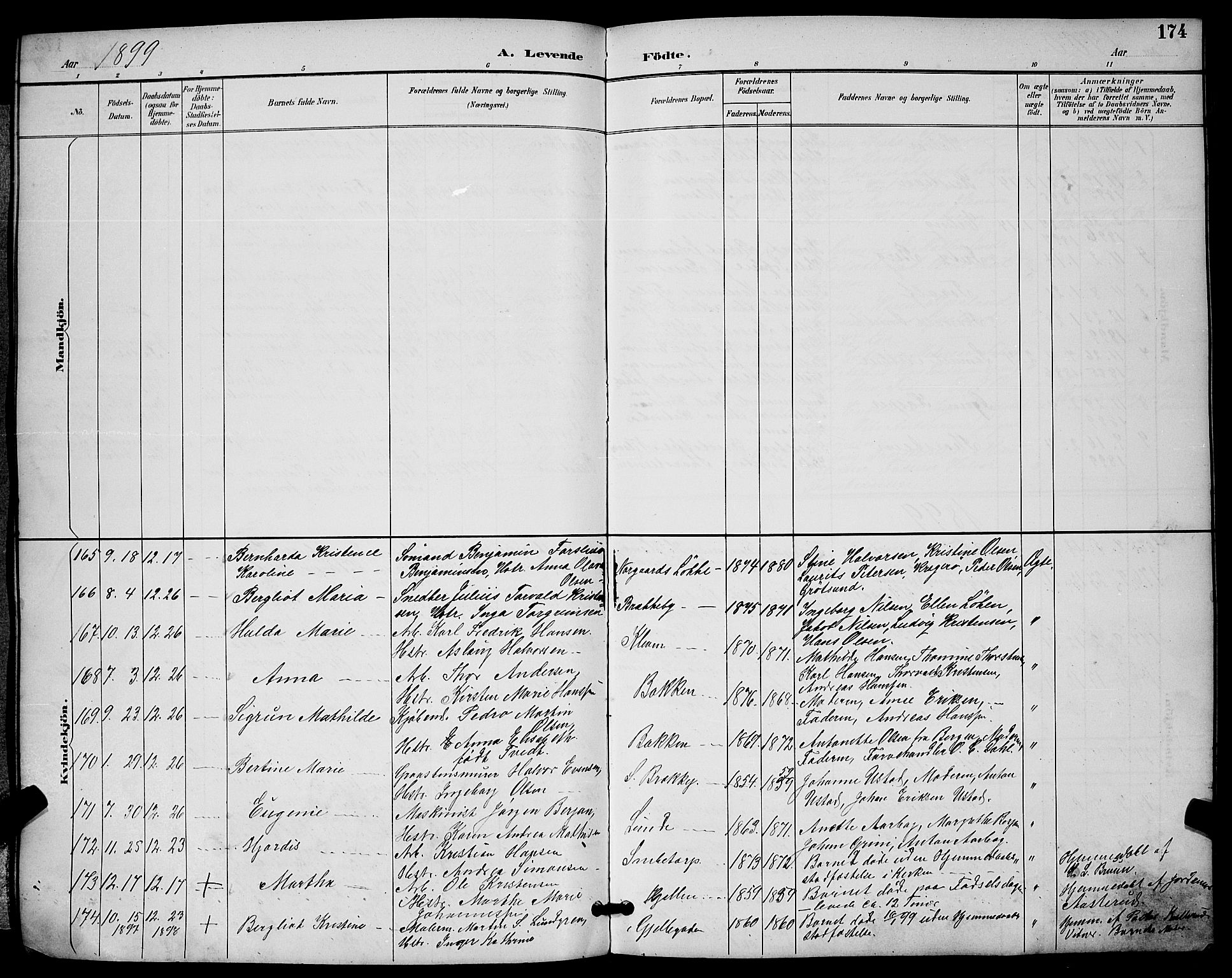 Skien kirkebøker, SAKO/A-302/G/Ga/L0007: Parish register (copy) no. 7, 1891-1900, p. 174