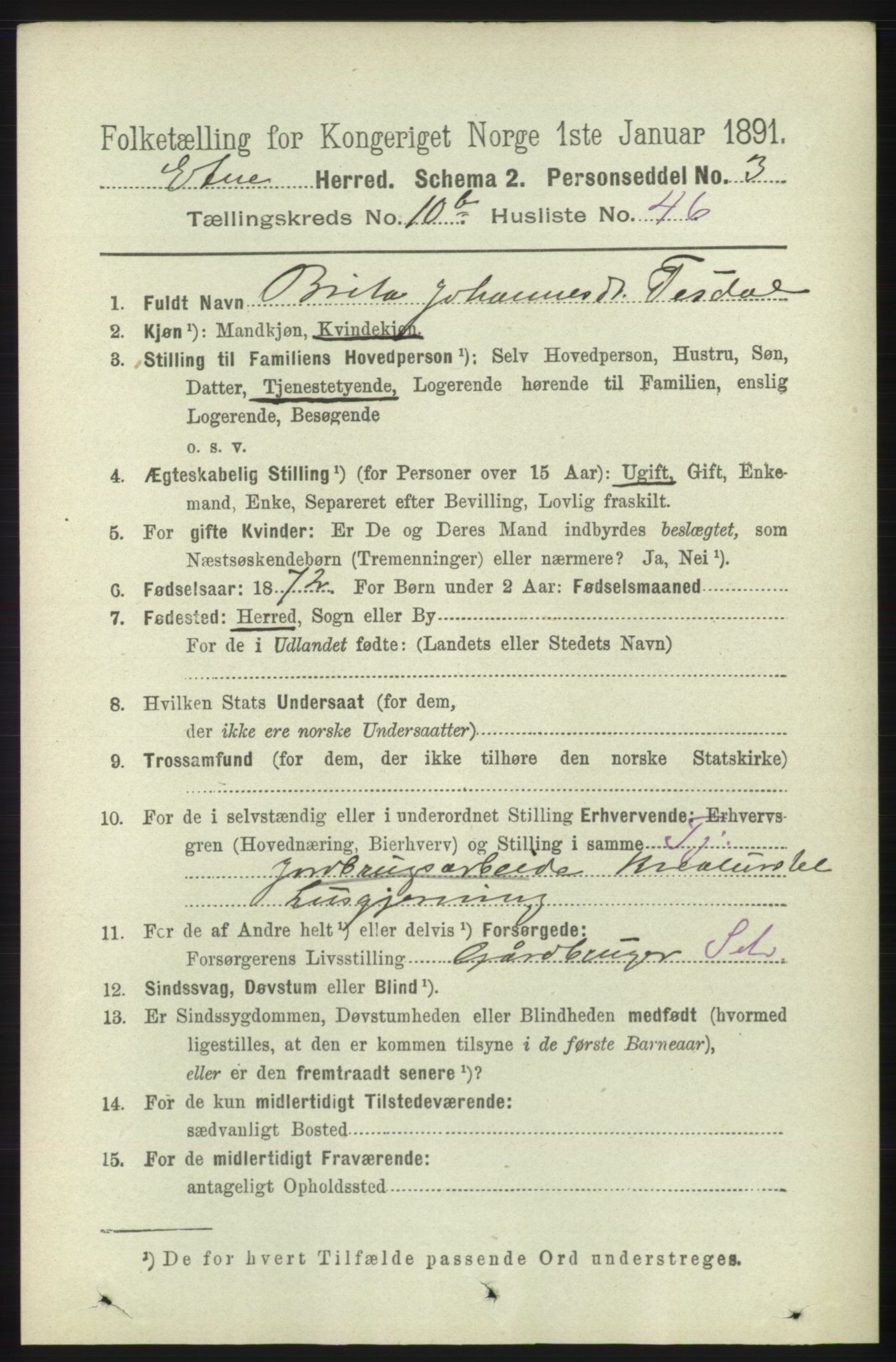 RA, 1891 census for 1211 Etne, 1891, p. 2185