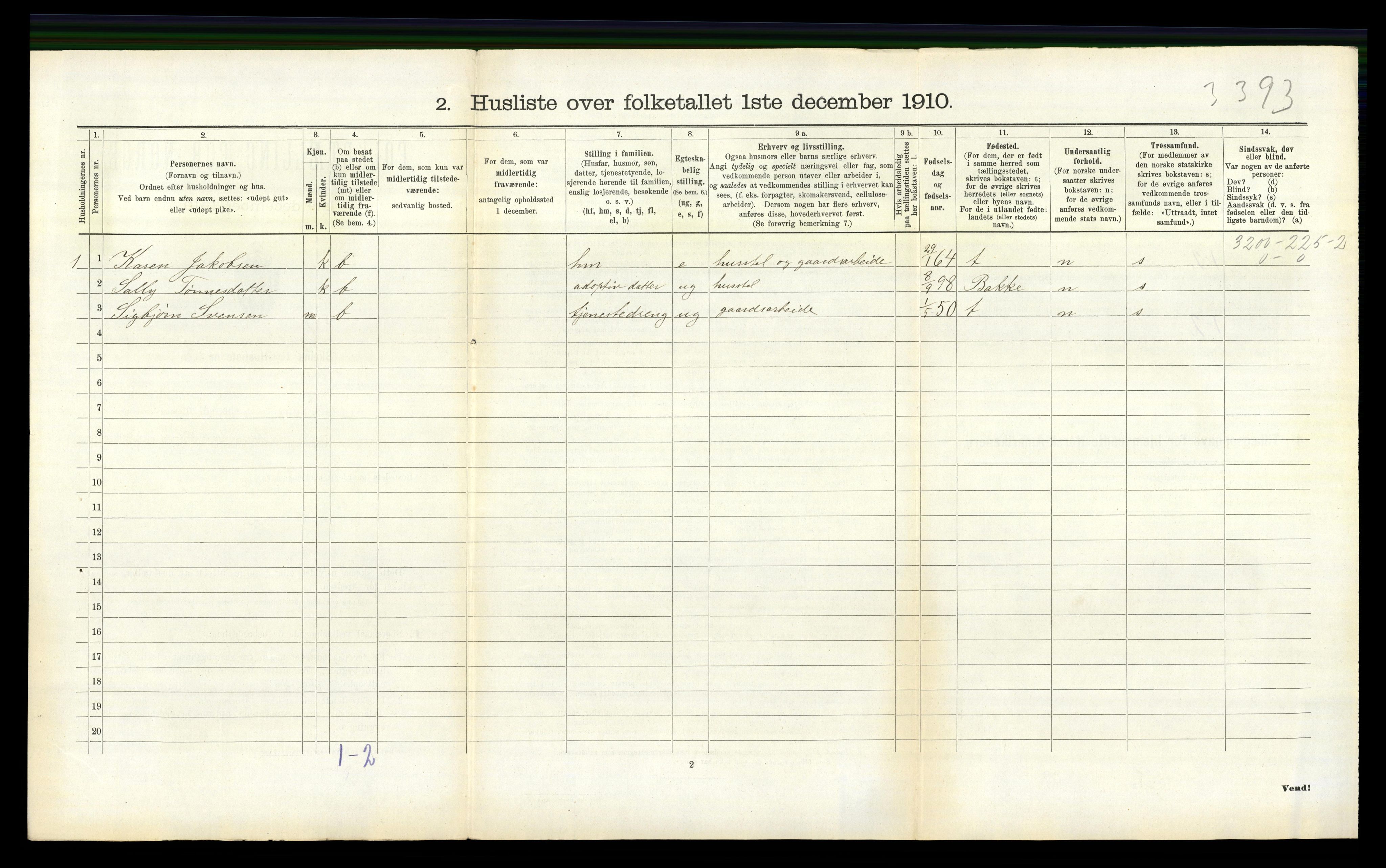 RA, 1910 census for Nes, 1910, p. 366