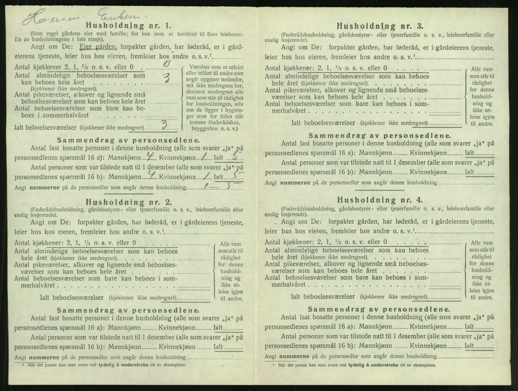 SAT, 1920 census for Rindal, 1920, p. 617