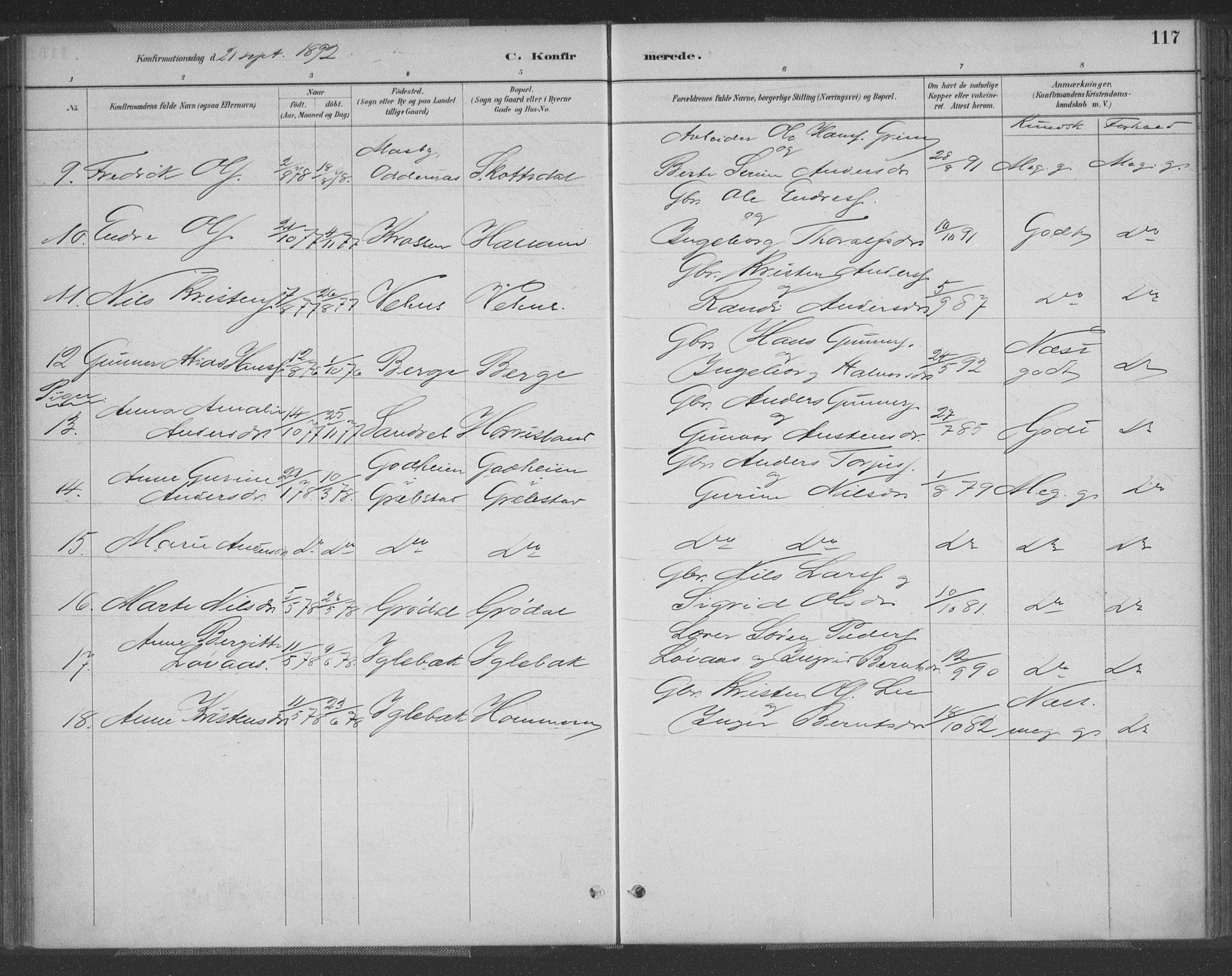 Vennesla sokneprestkontor, AV/SAK-1111-0045/Fa/Fac/L0009: Parish register (official) no. A 9, 1884-1901, p. 117