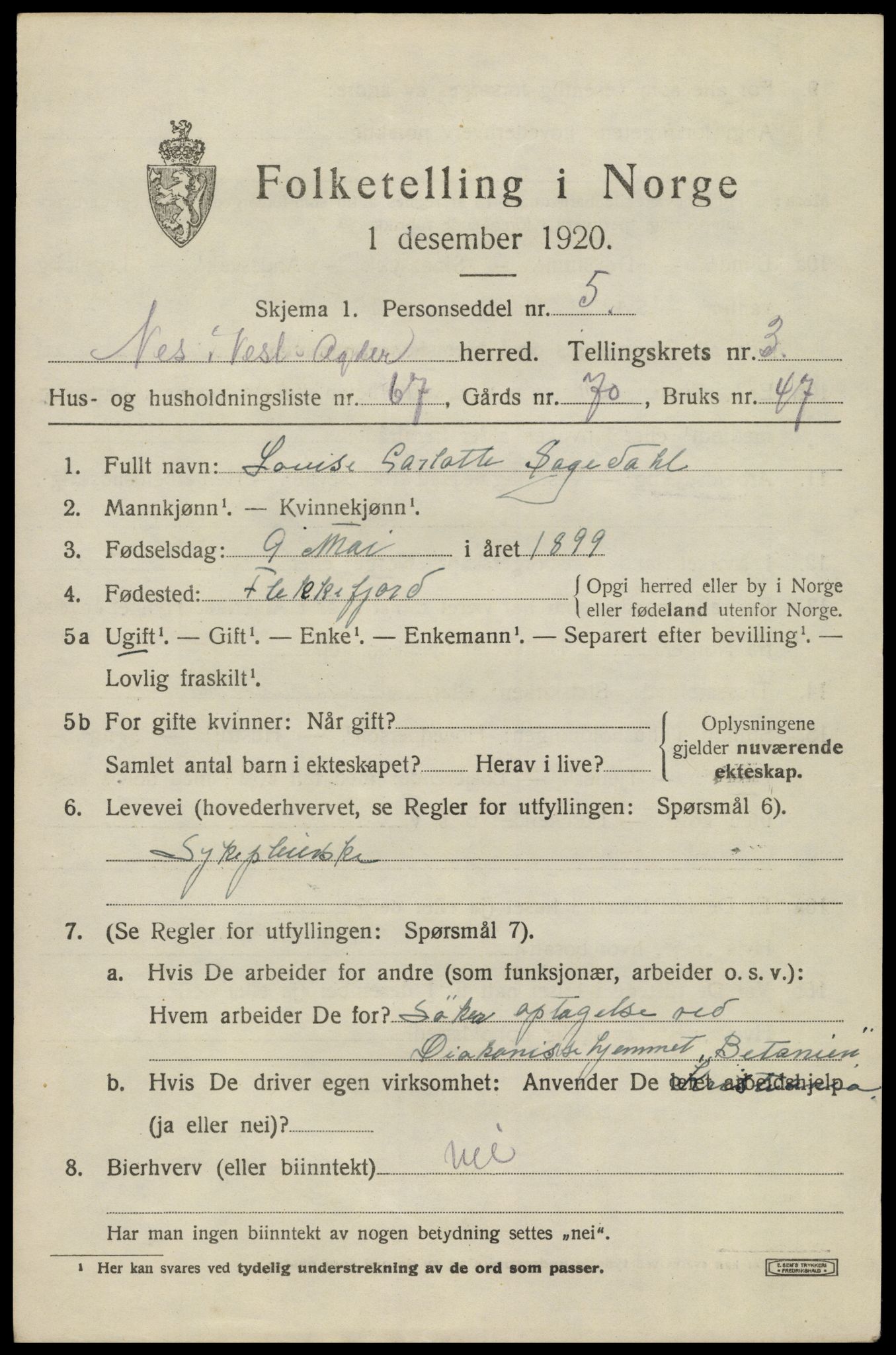 SAK, 1920 census for Nes (V-A), 1920, p. 2056