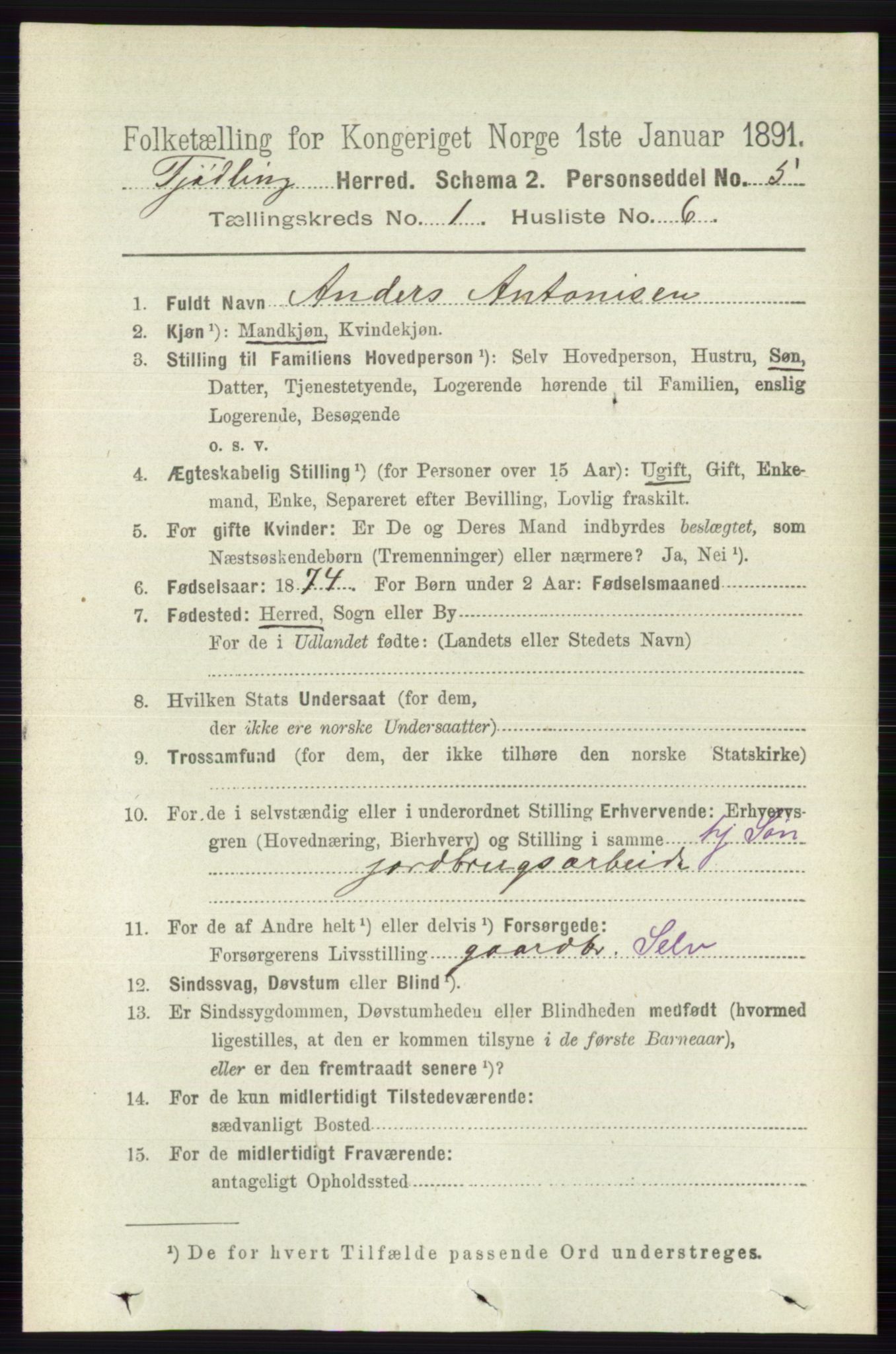 RA, 1891 census for 0725 Tjølling, 1891, p. 128