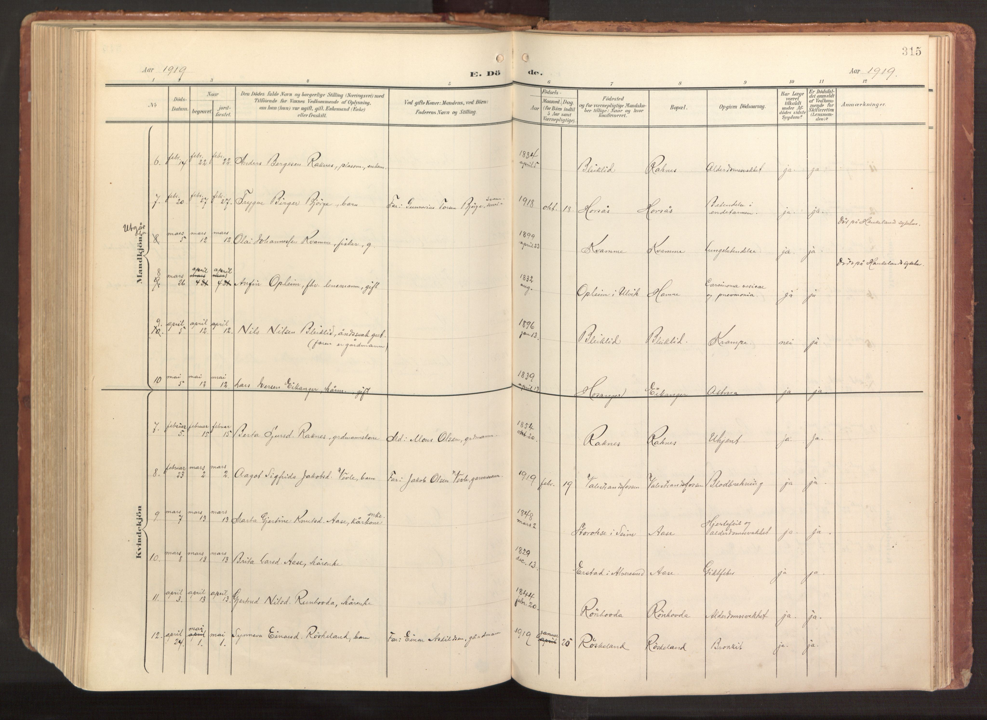 Hamre sokneprestembete, AV/SAB-A-75501/H/Ha/Haa/Haab/L0002: Parish register (official) no. B 2, 1905-1924, p. 315