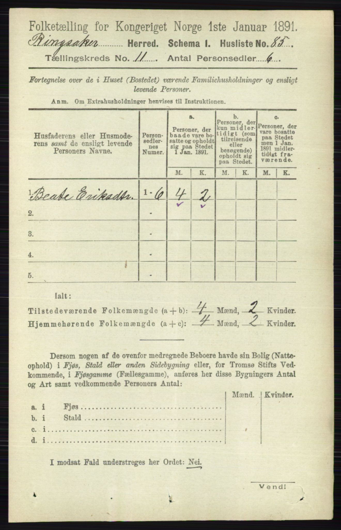 RA, 1891 census for 0412 Ringsaker, 1891, p. 6254