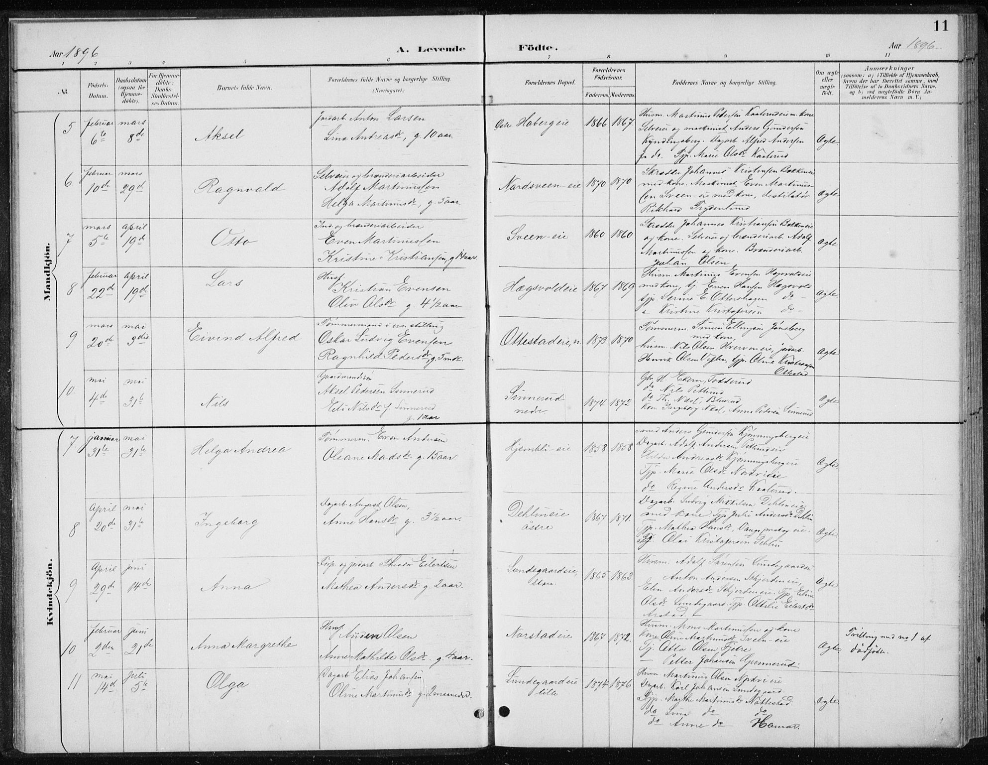 Stange prestekontor, AV/SAH-PREST-002/L/L0010: Parish register (copy) no. 10, 1894-1905, p. 11