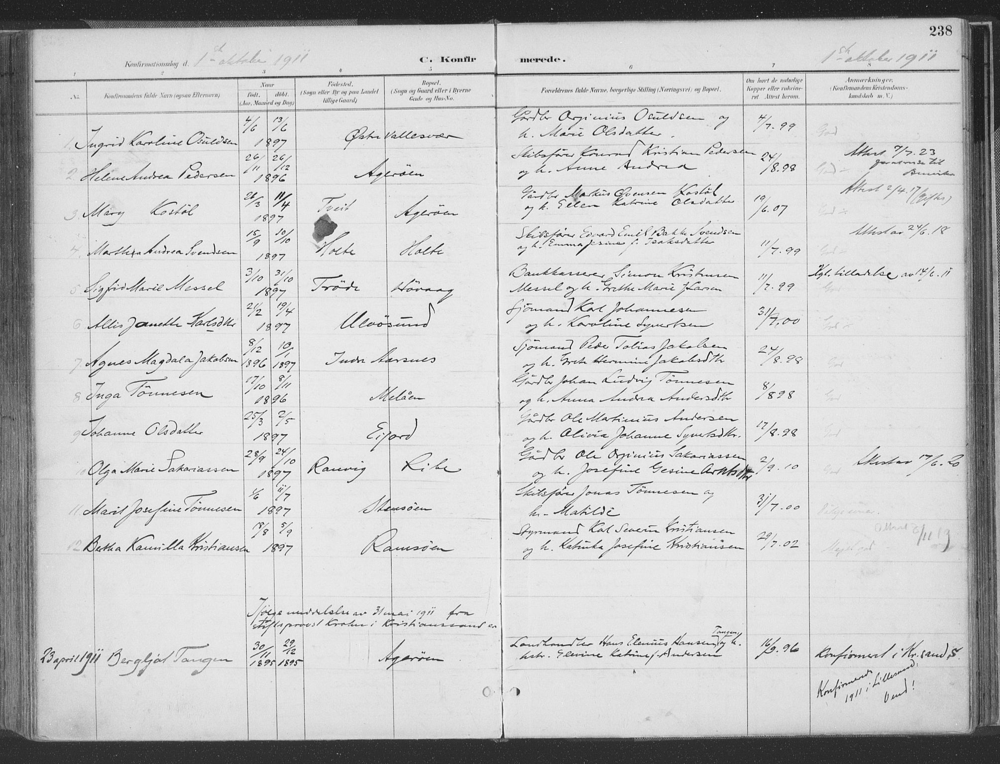 Høvåg sokneprestkontor, AV/SAK-1111-0025/F/Fa/L0006: Parish register (official) no. A 6, 1894-1923, p. 238